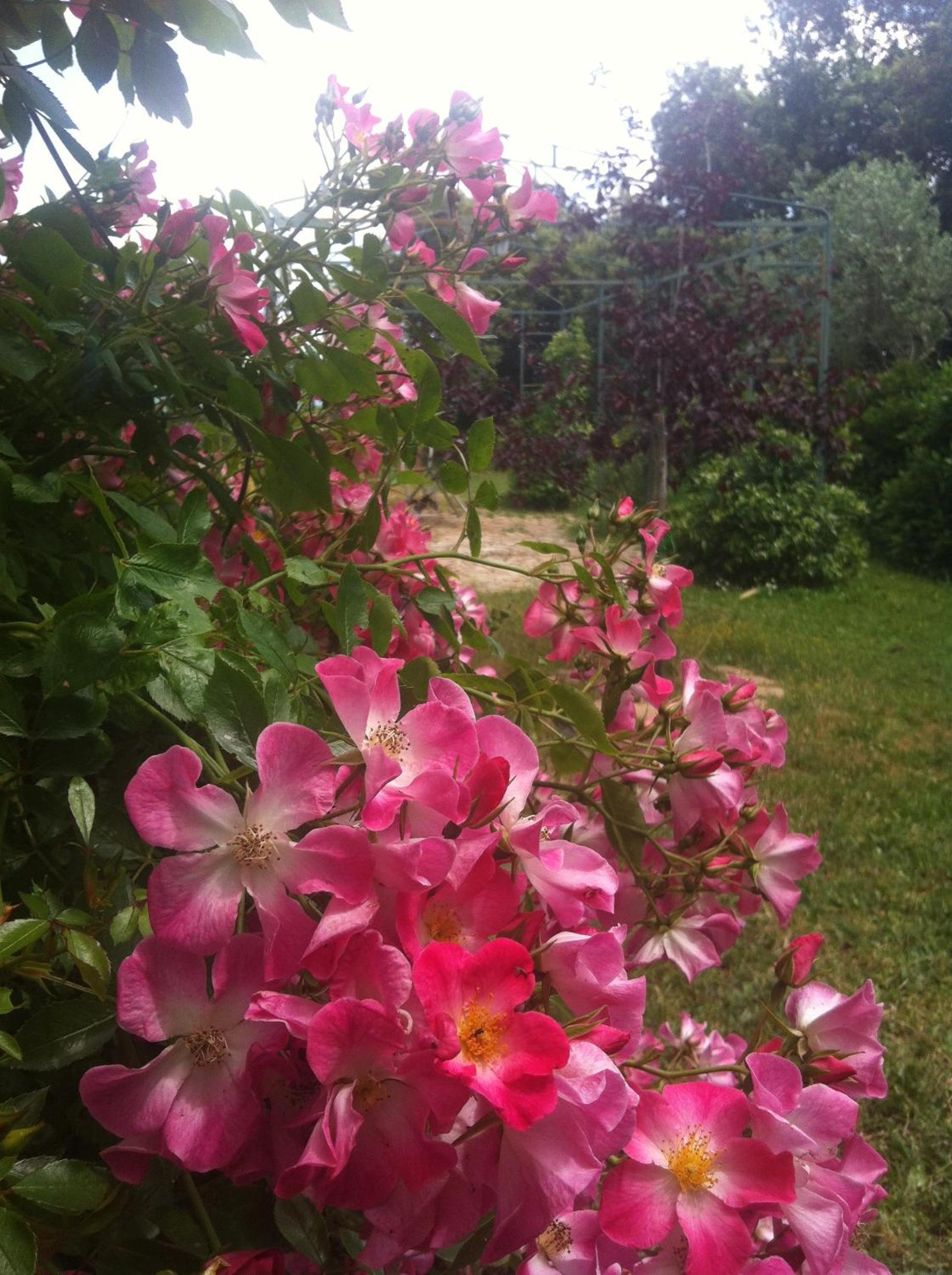 Photo 23