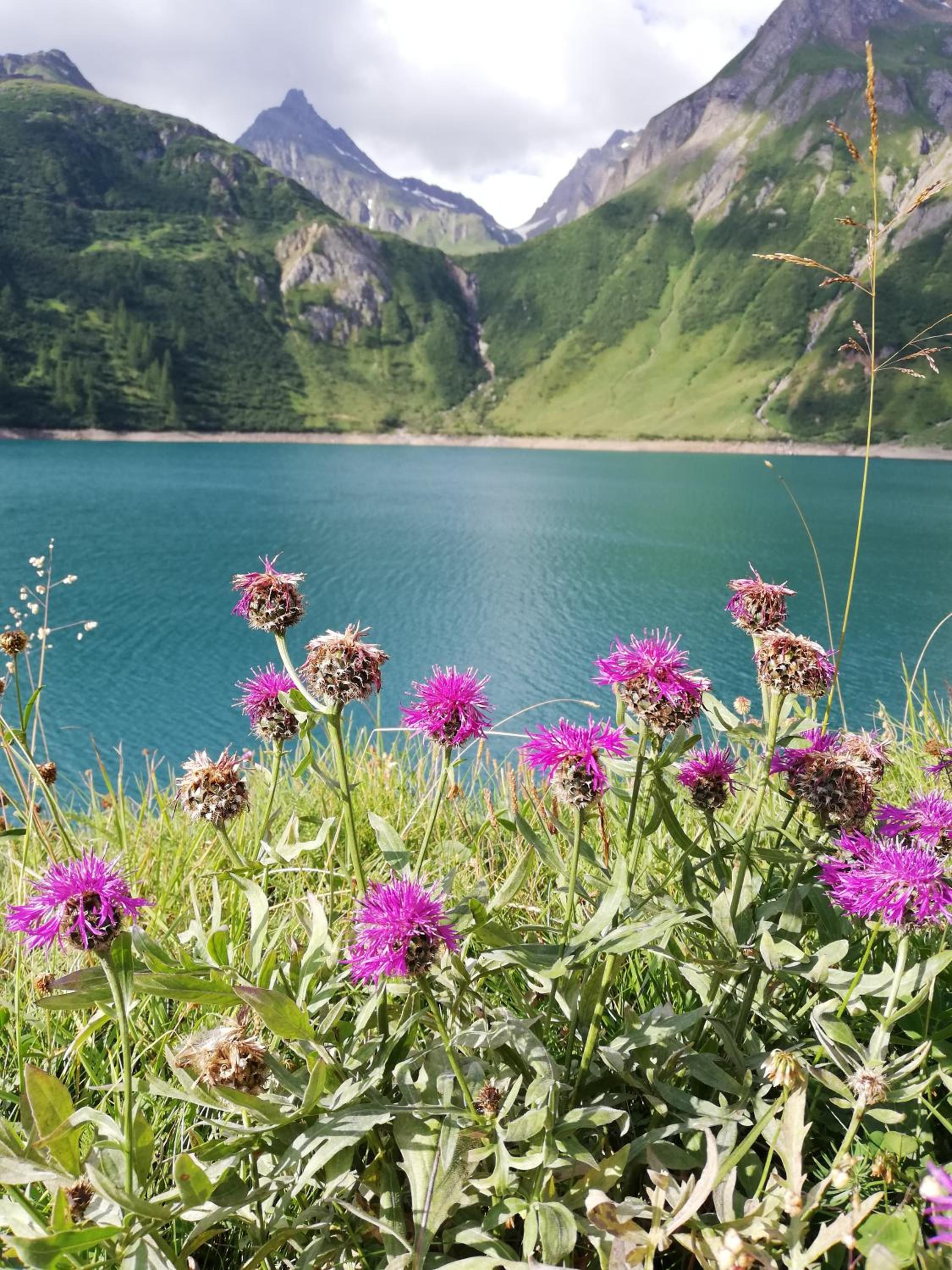 Il Giardino Segreto