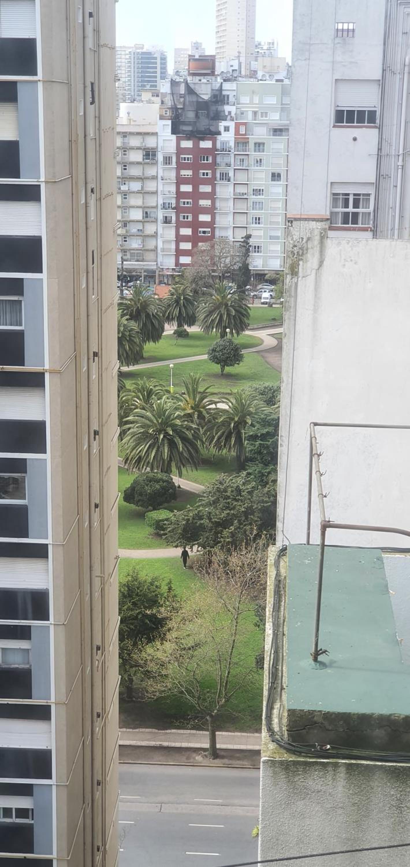 Mi Lugar en el Mundo