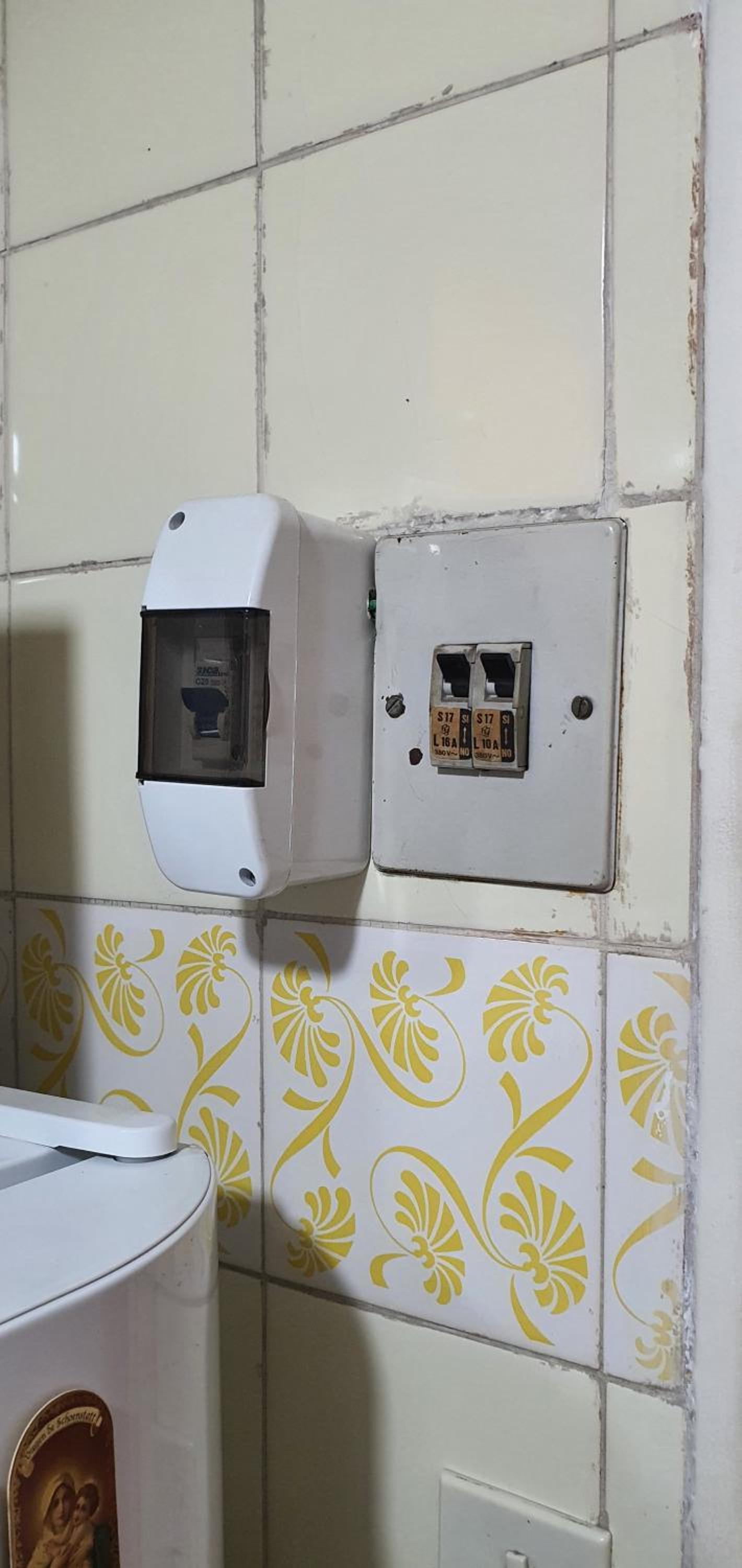 Mi Lugar en el Mundo