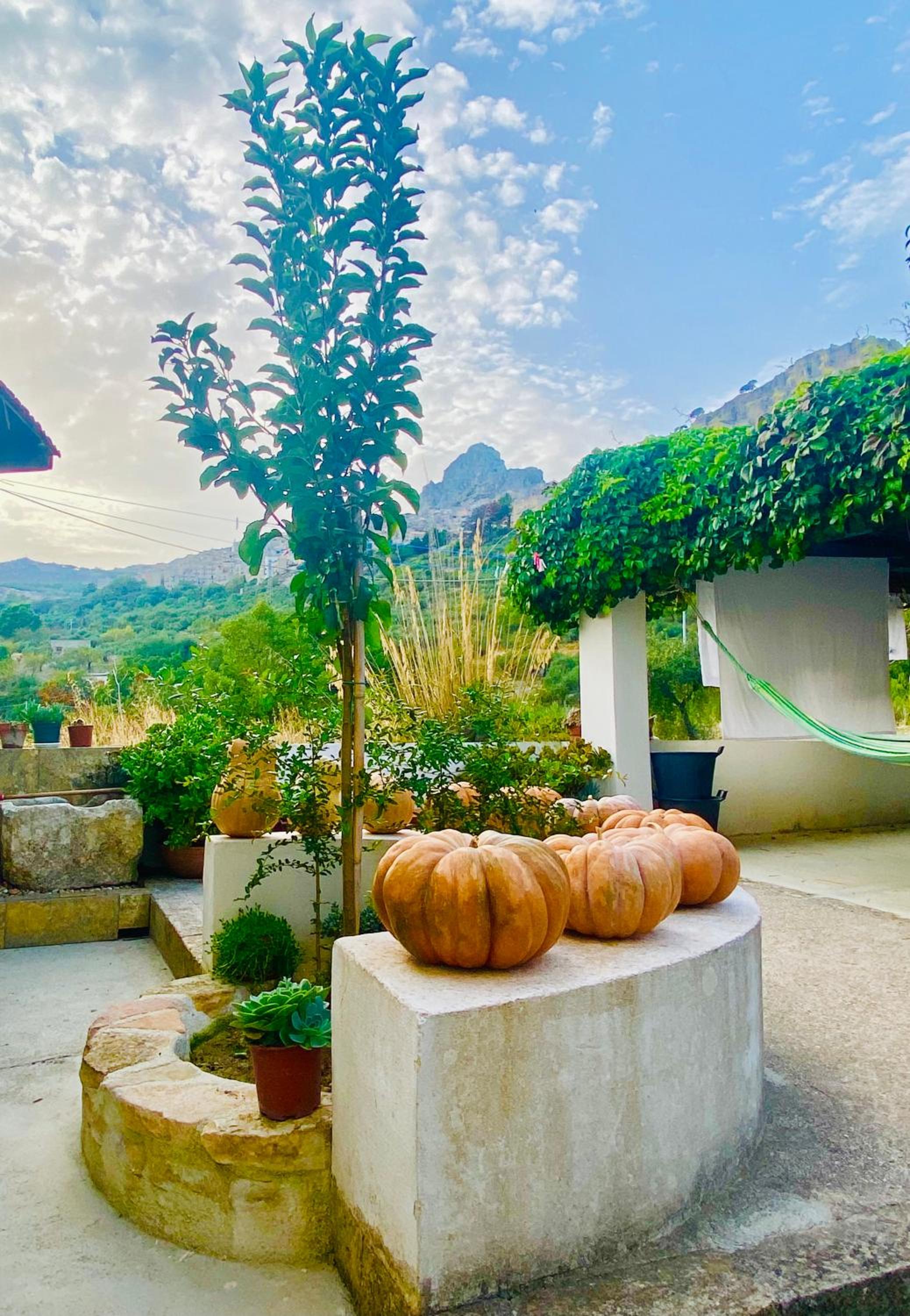 Casa Puccio B&B view 4