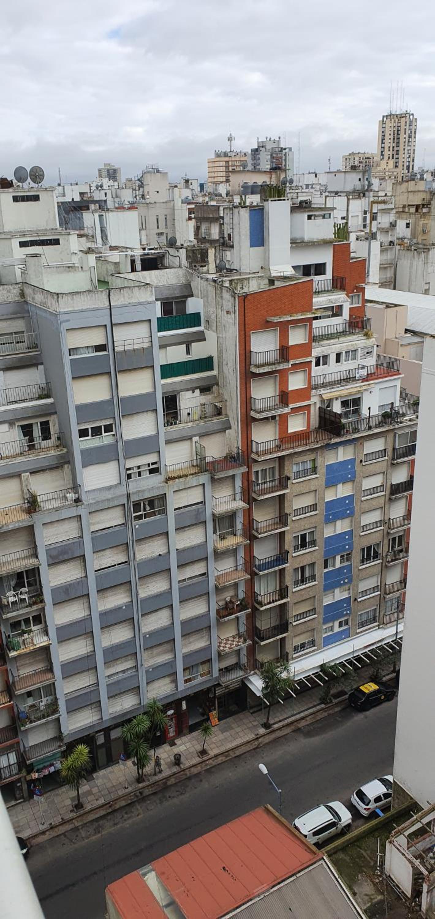 Mi Lugar en el Mundo