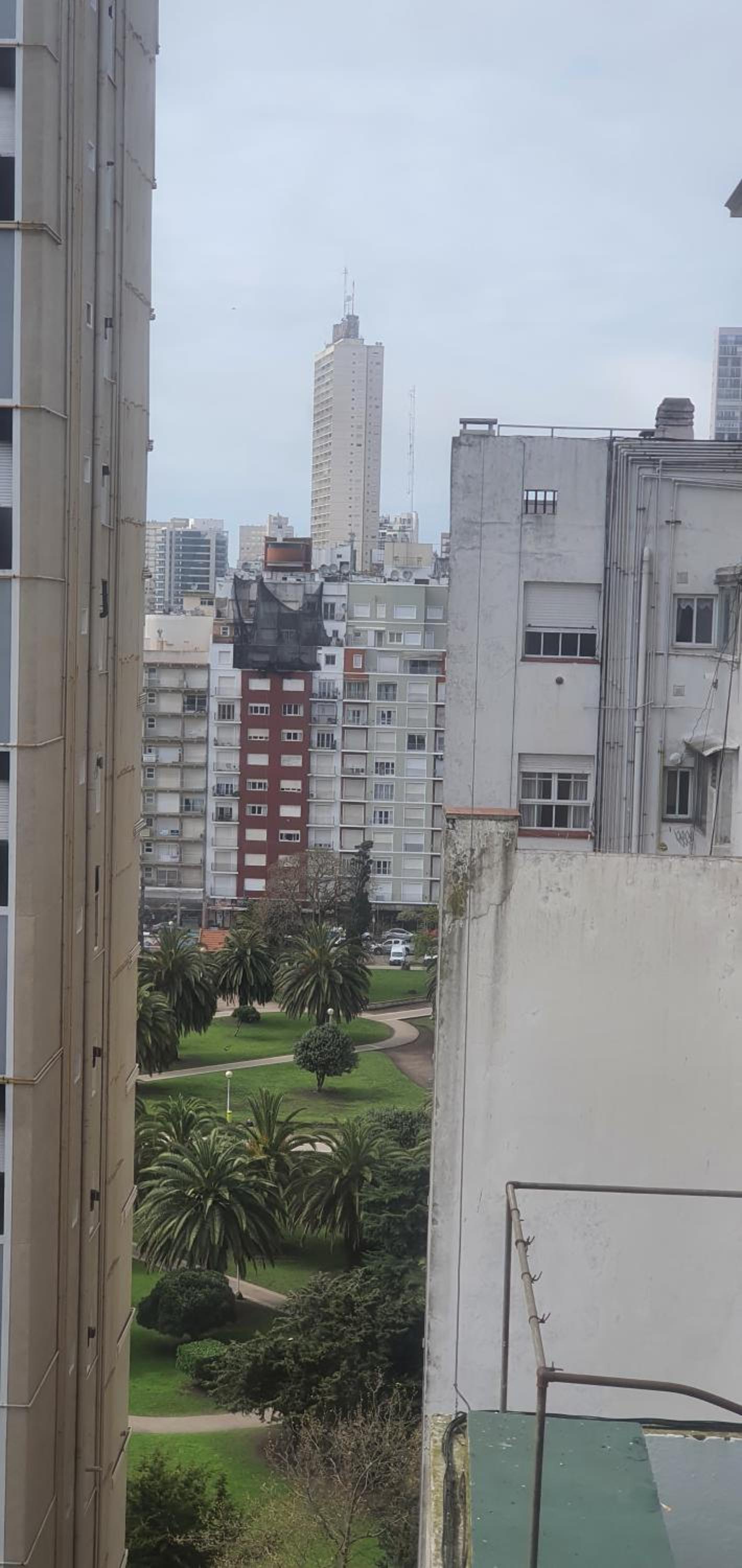 Mi Lugar en el Mundo
