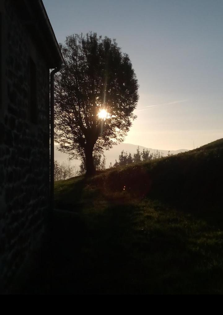 Photo 48