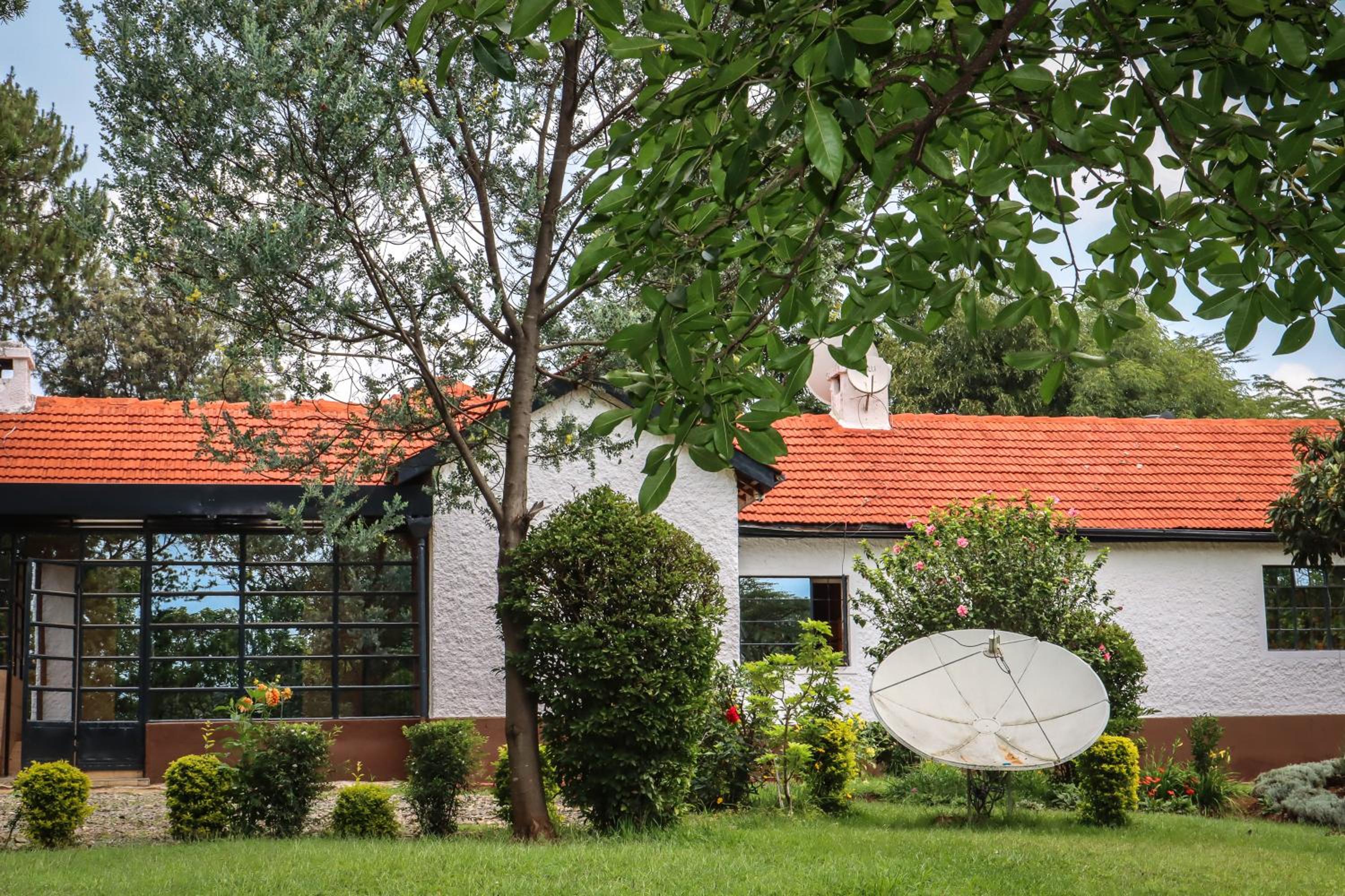 Eldopalm Guesthouse view 4