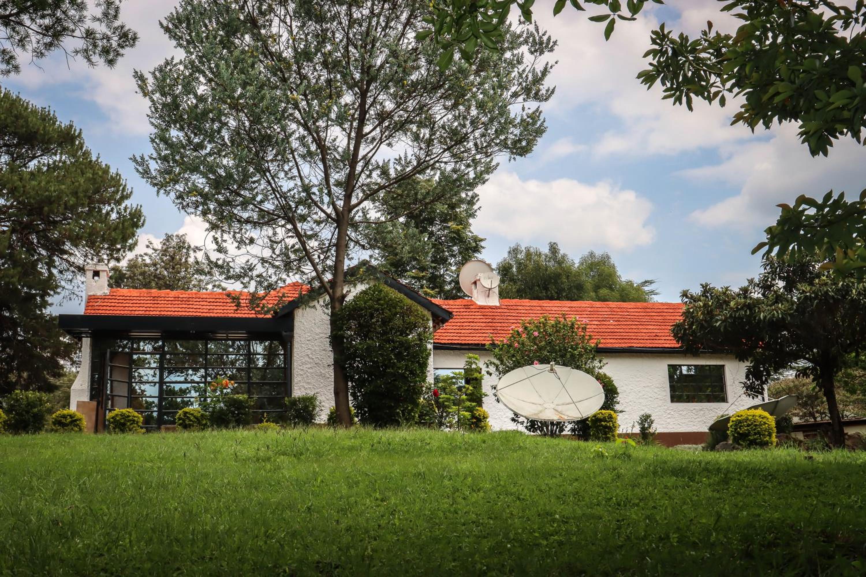 Eldopalm Guesthouse view 3