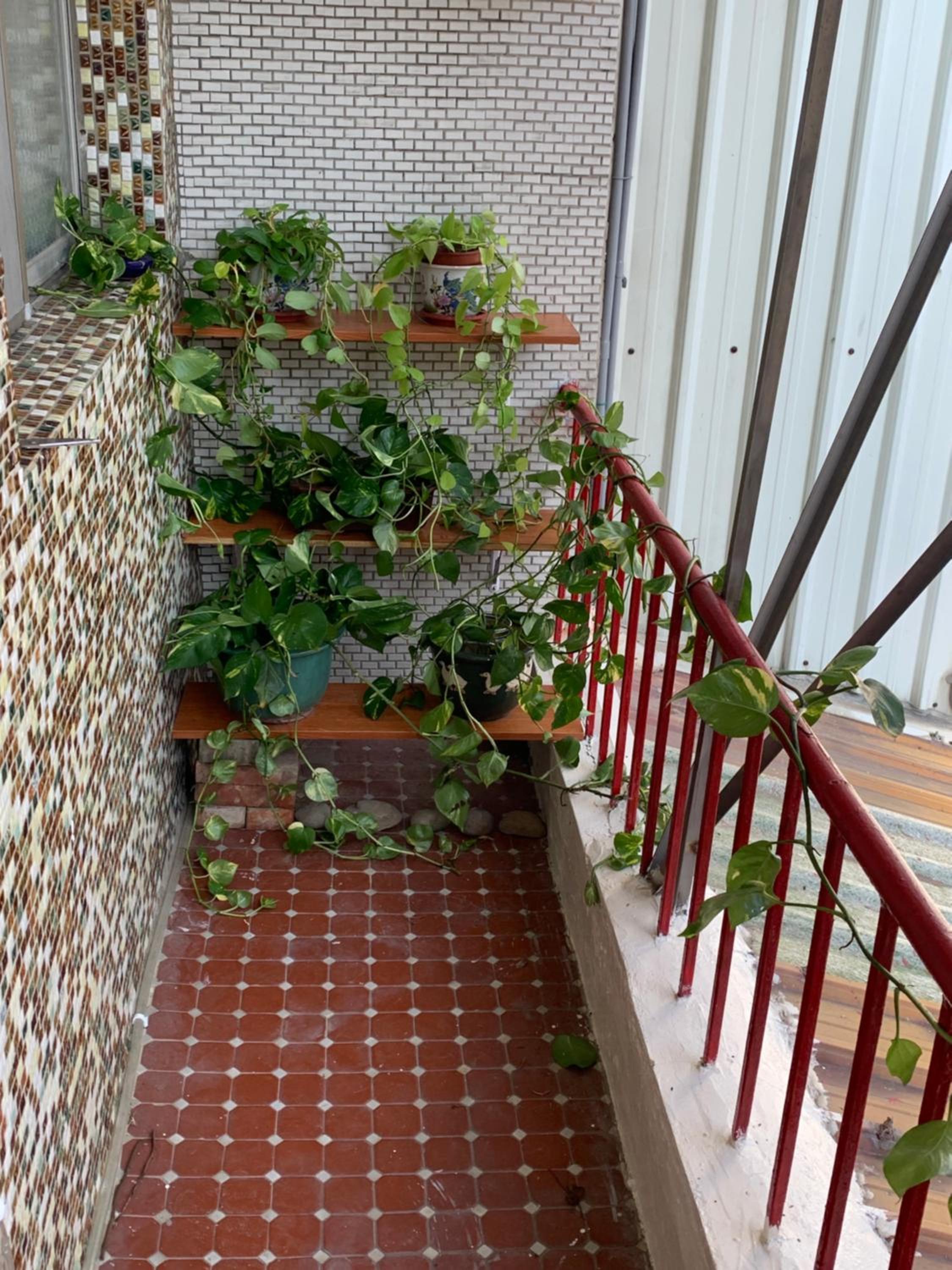 Guan Ma Homestay view 5