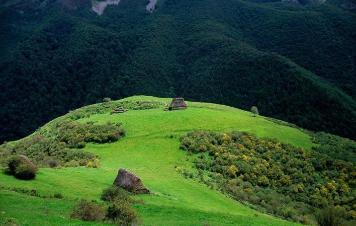 Photo 40