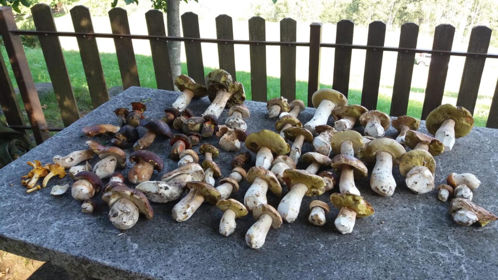 Il Giardino Segreto
