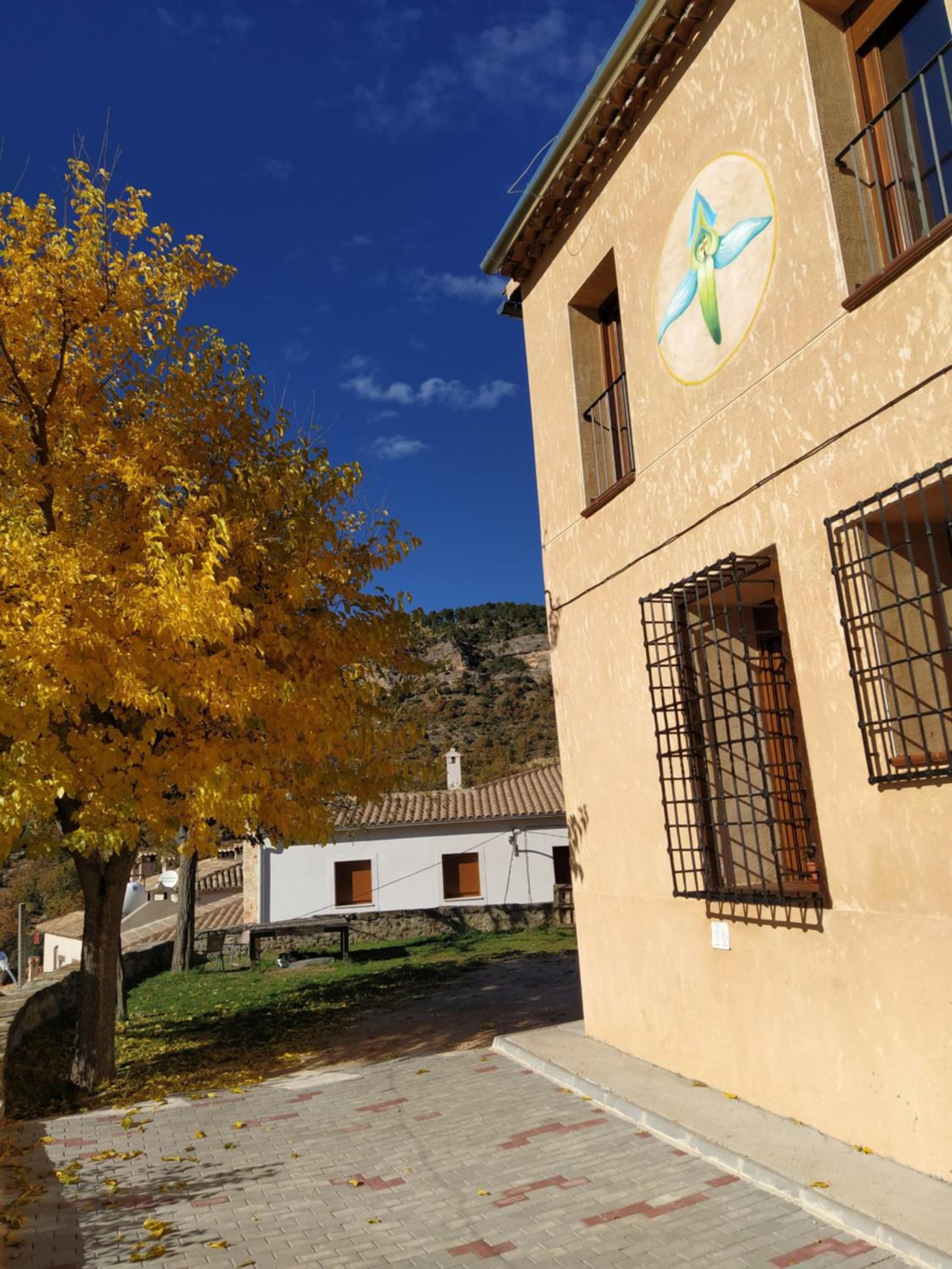 El Pretil del Olmo - Property Image 7