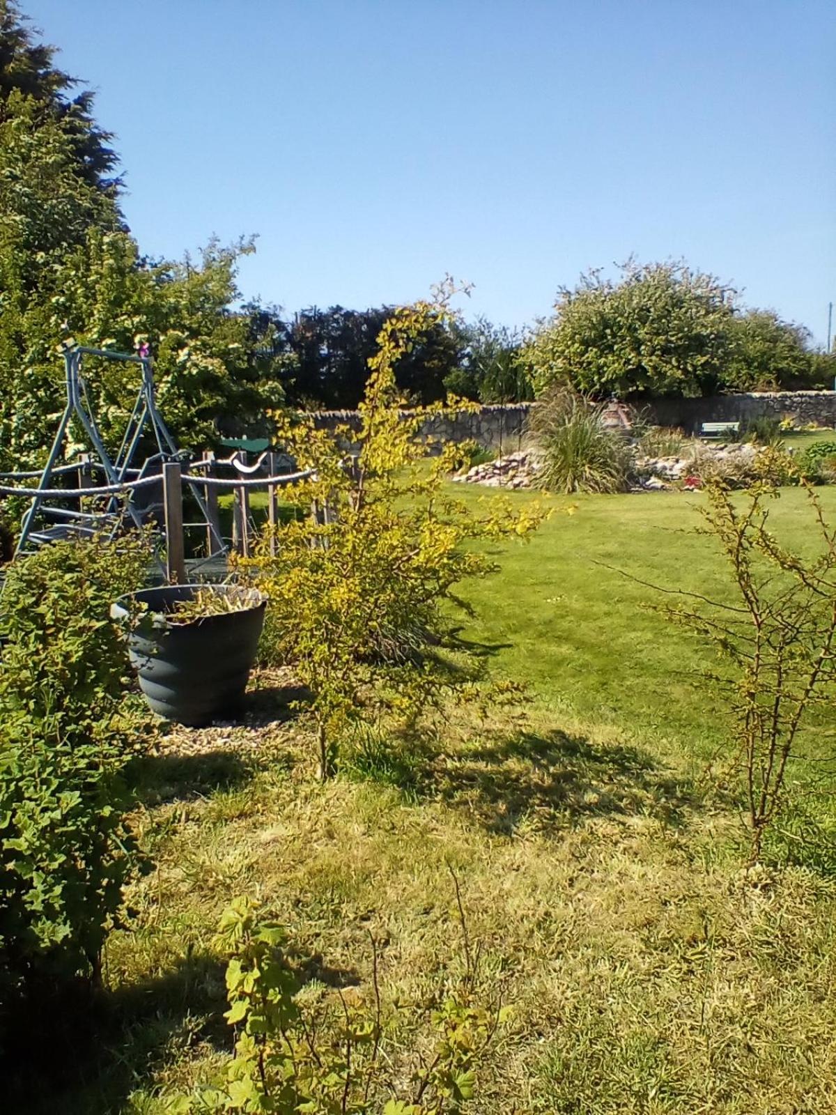 Photo 46