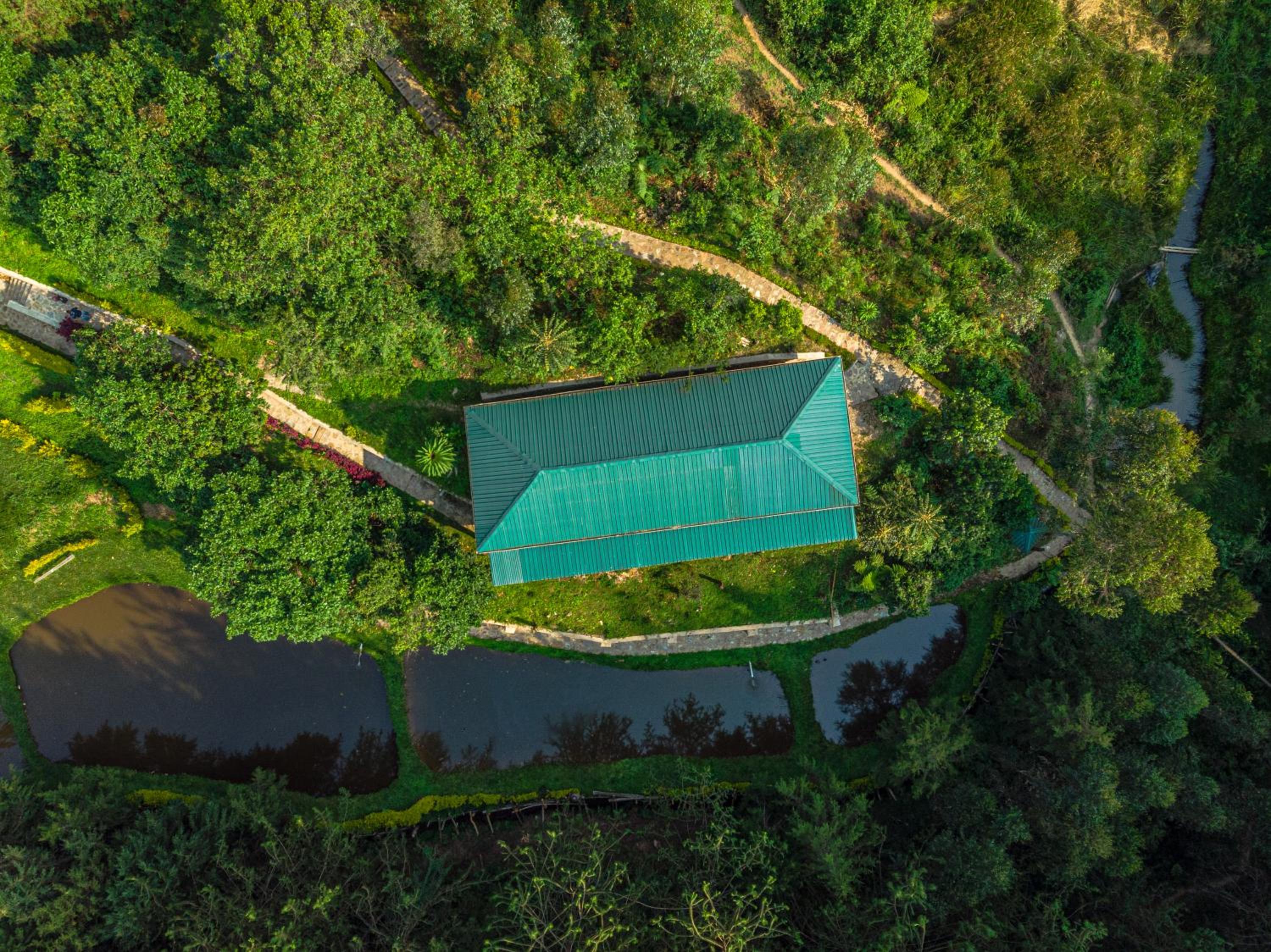 Rushaga Gorilla Lodge