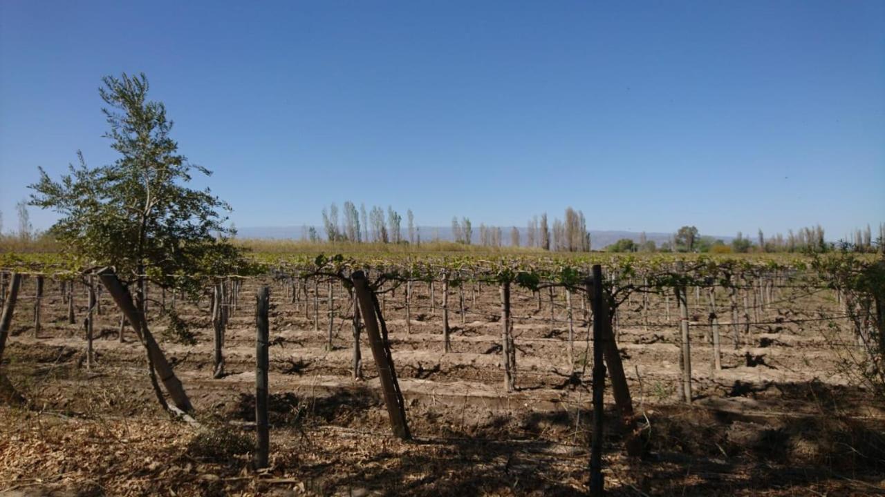 Sol del Este - Image 1