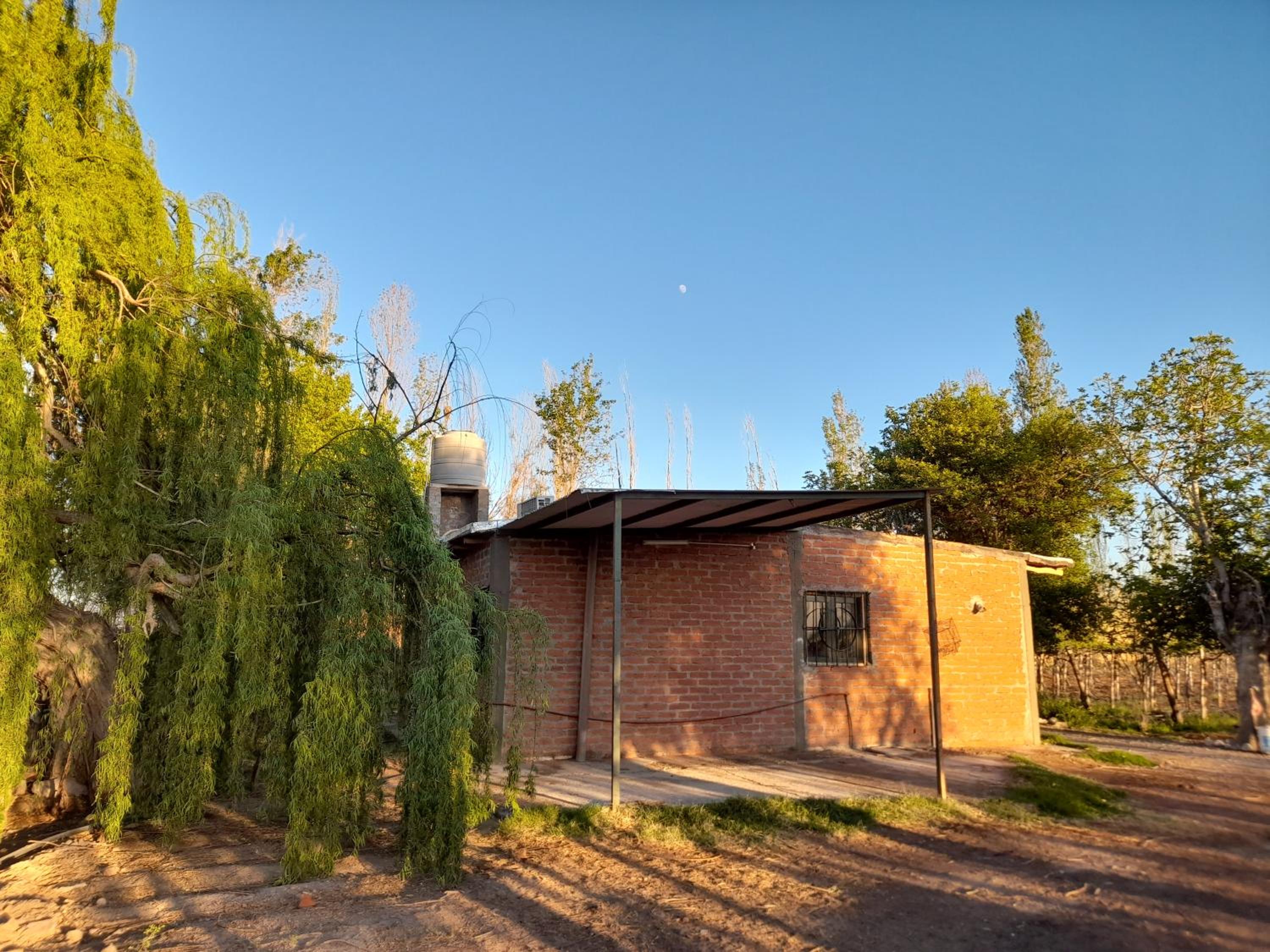 Sol del Este