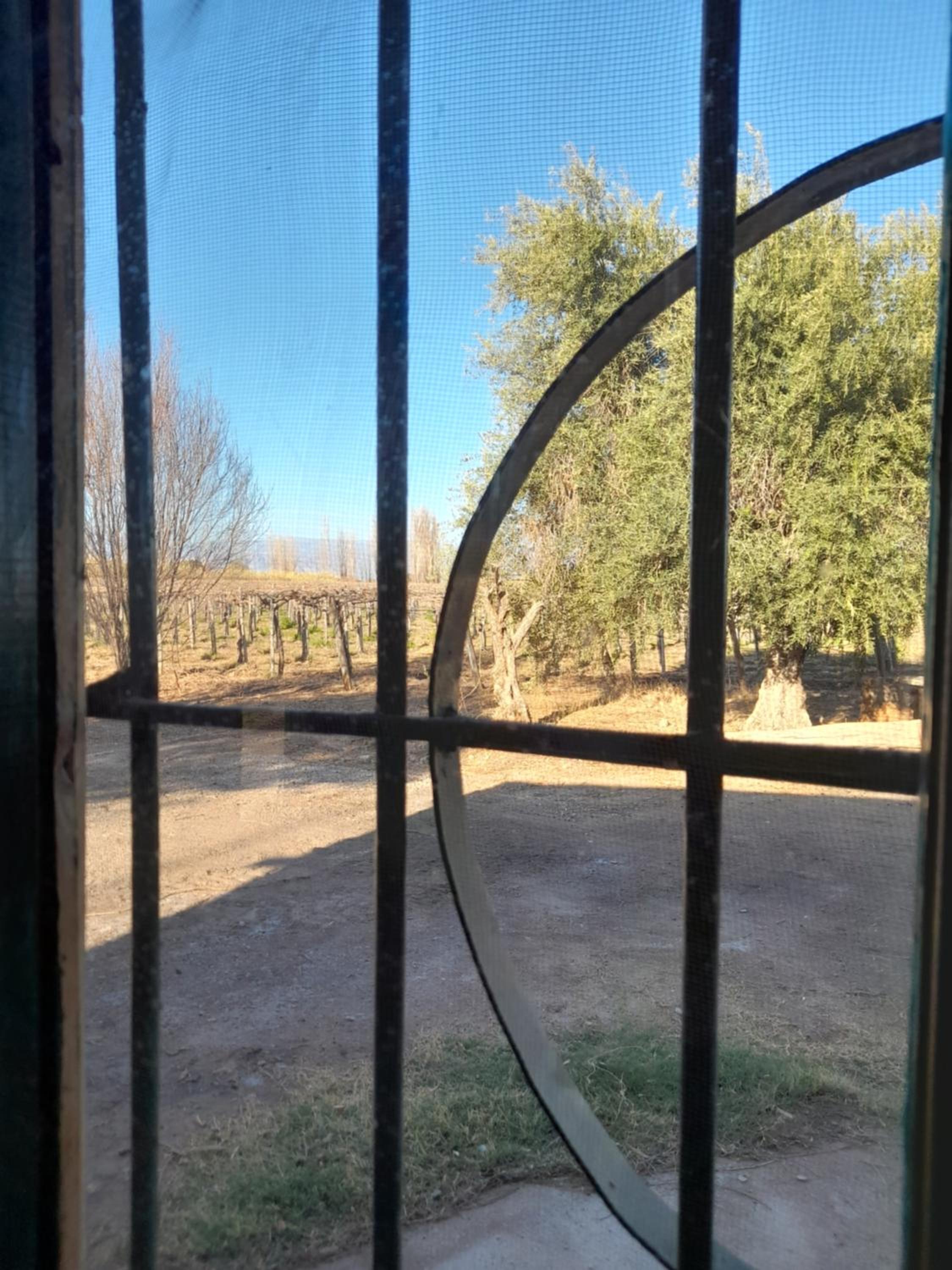 Sol del Este
