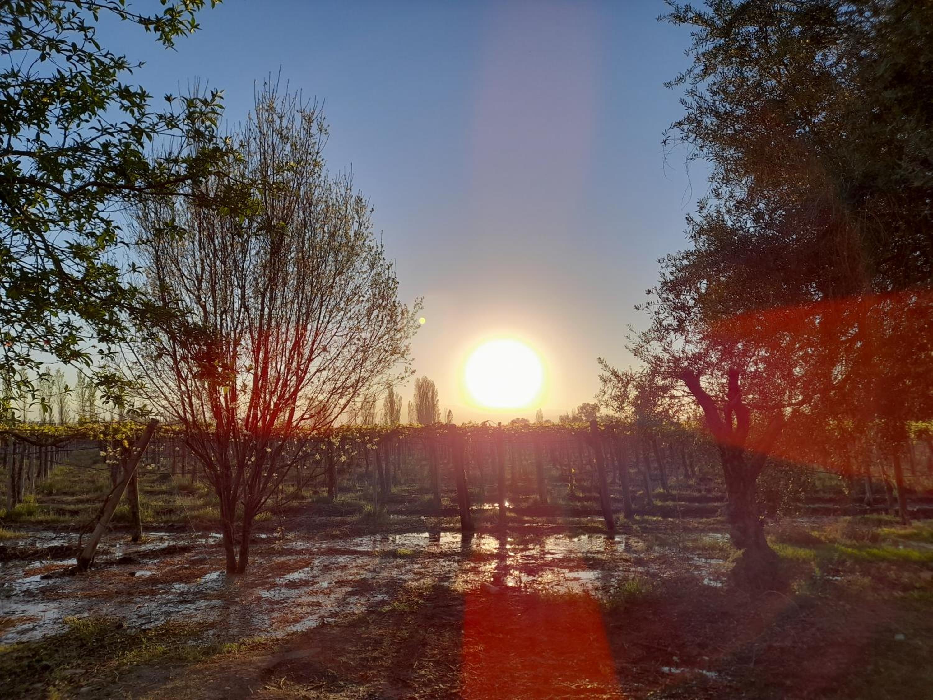Sol del Este