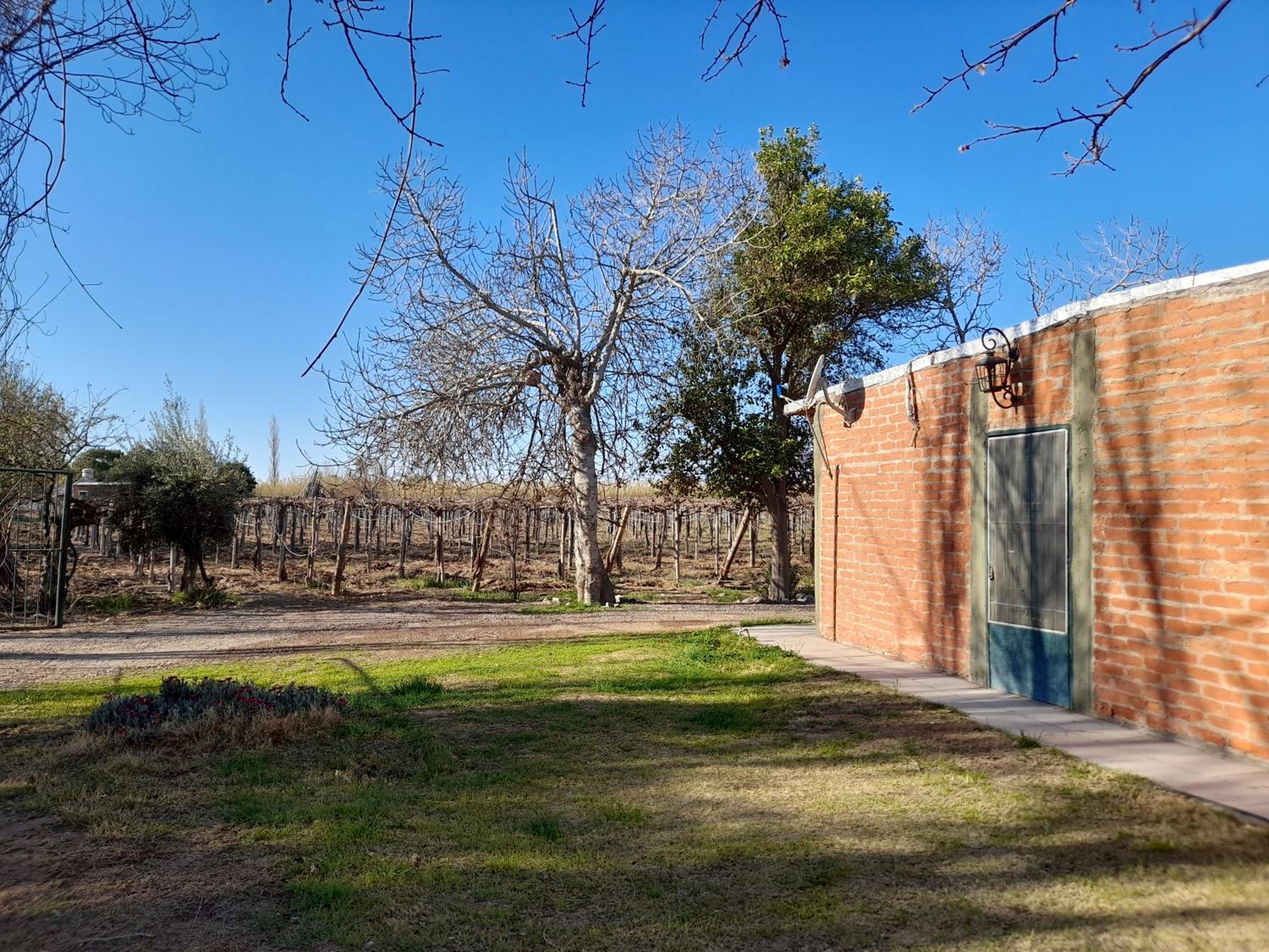 Sol del Este