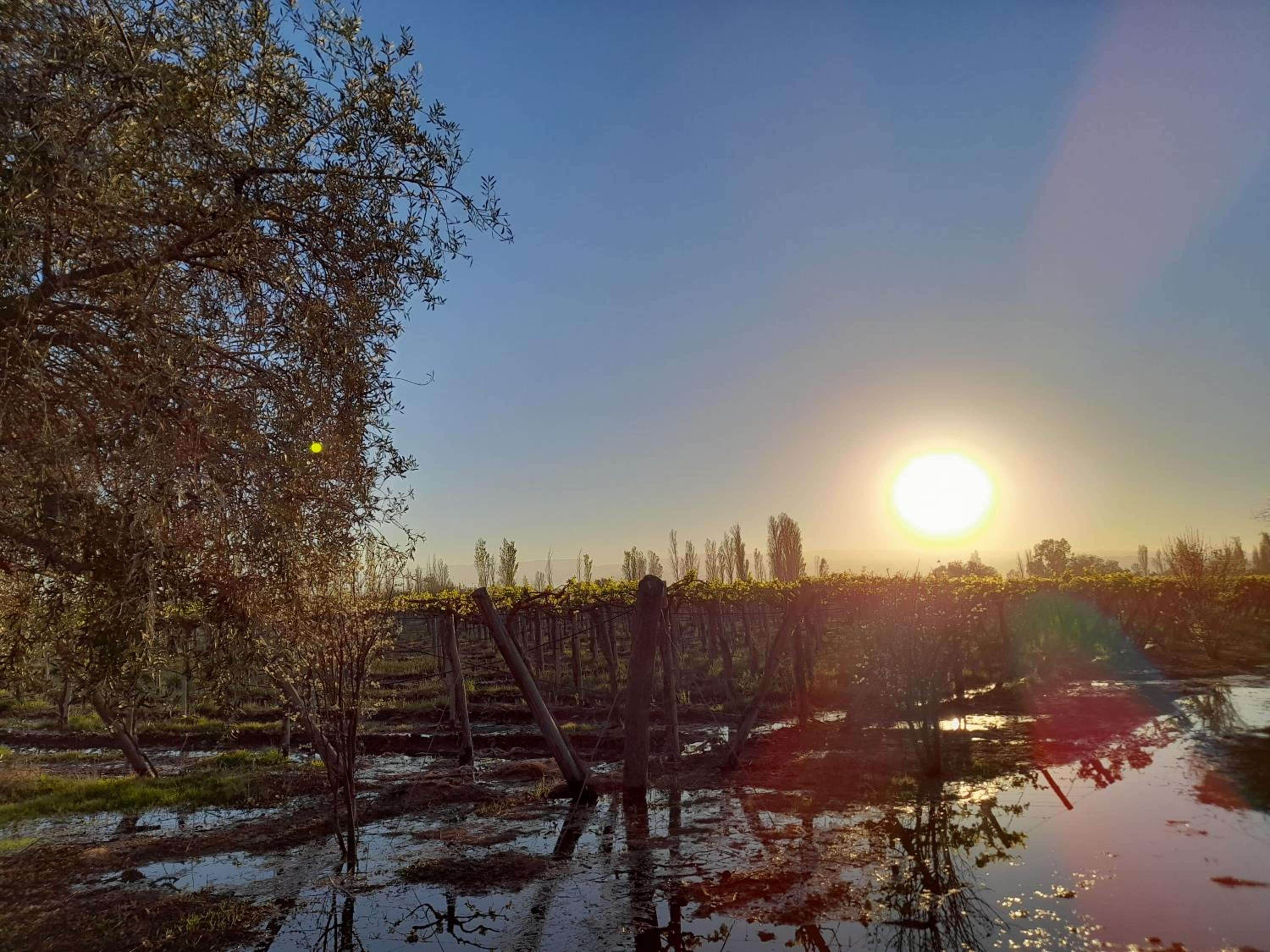 Sol del Este