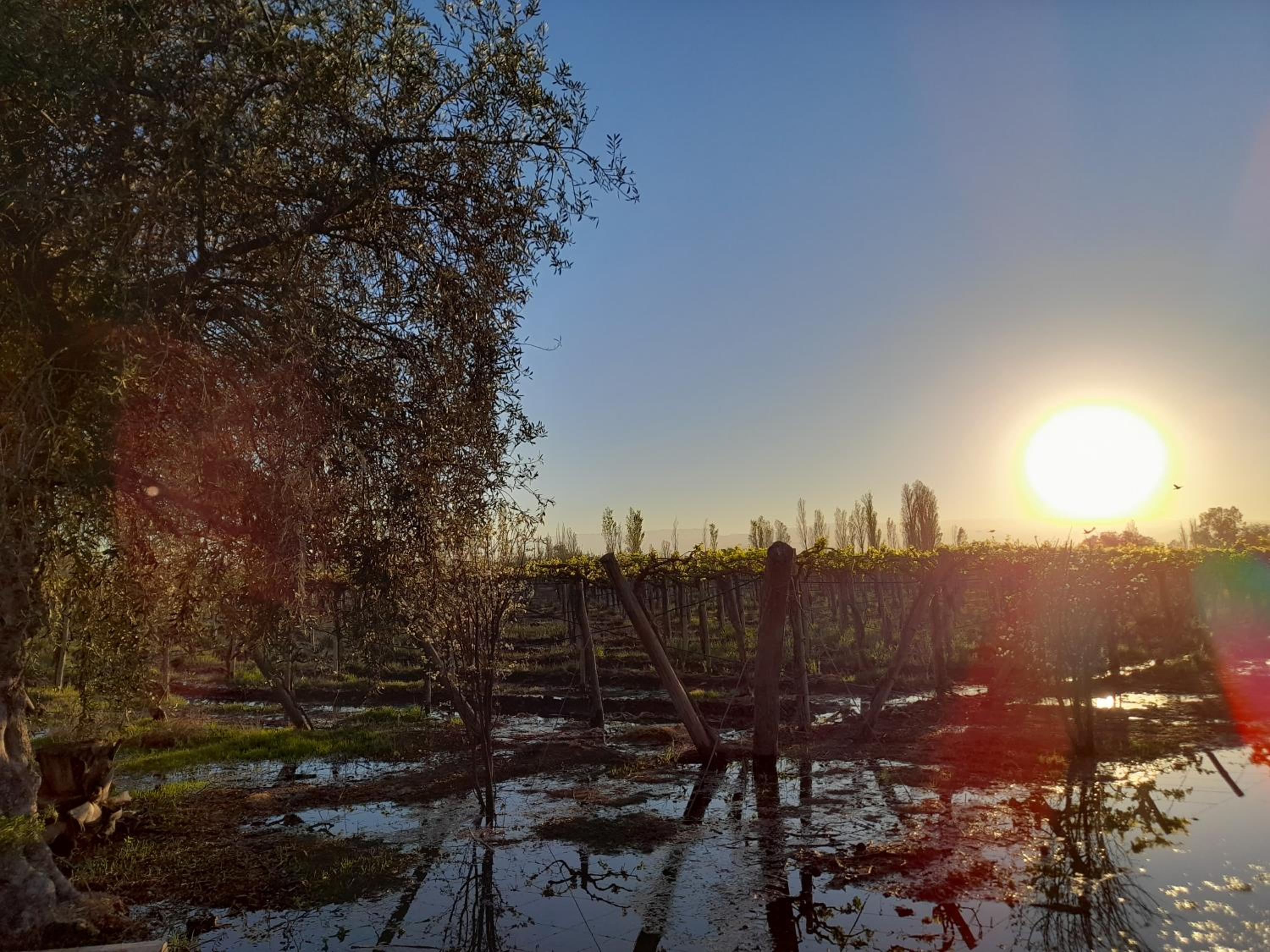 Sol del Este