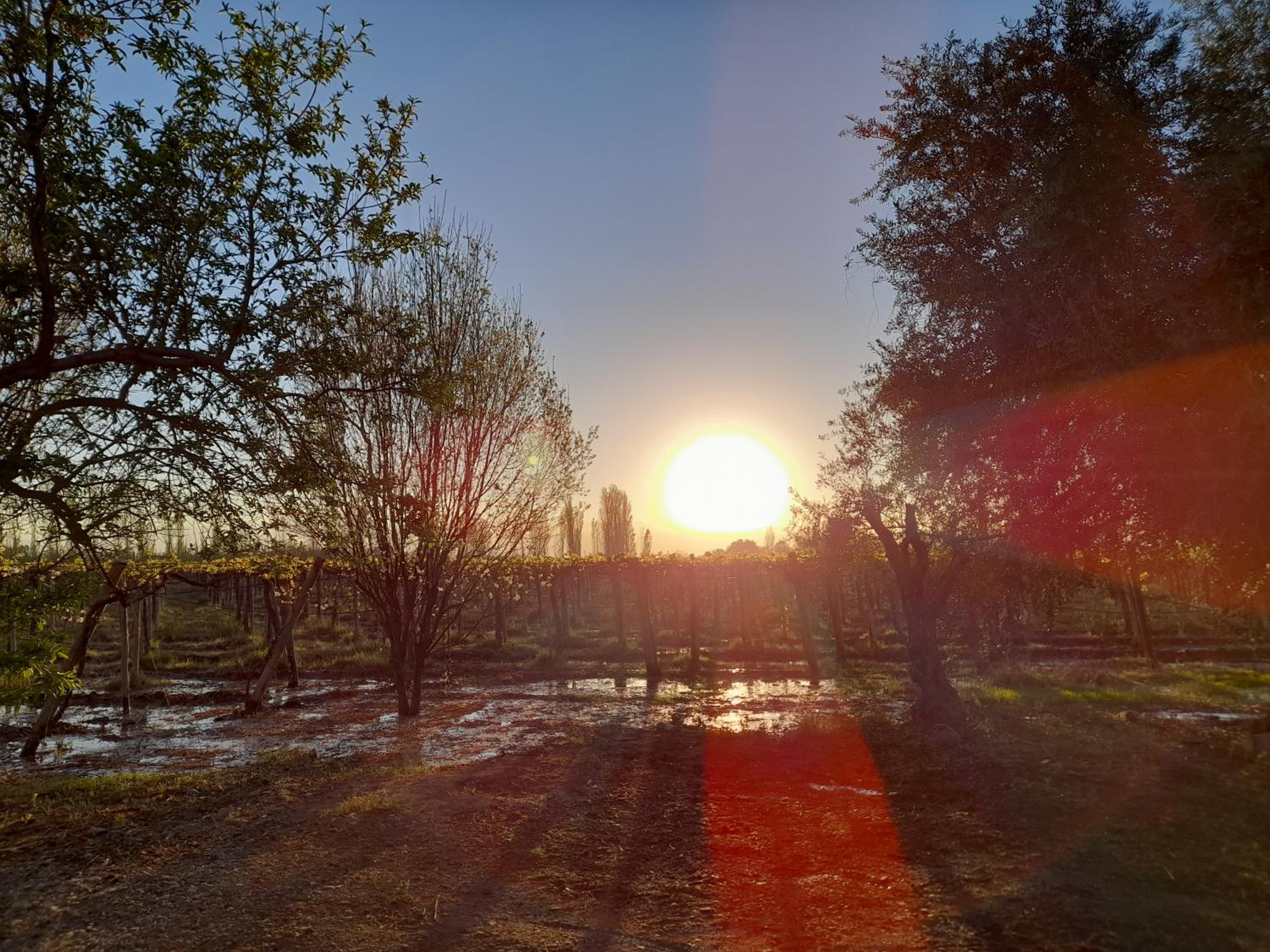 Sol del Este