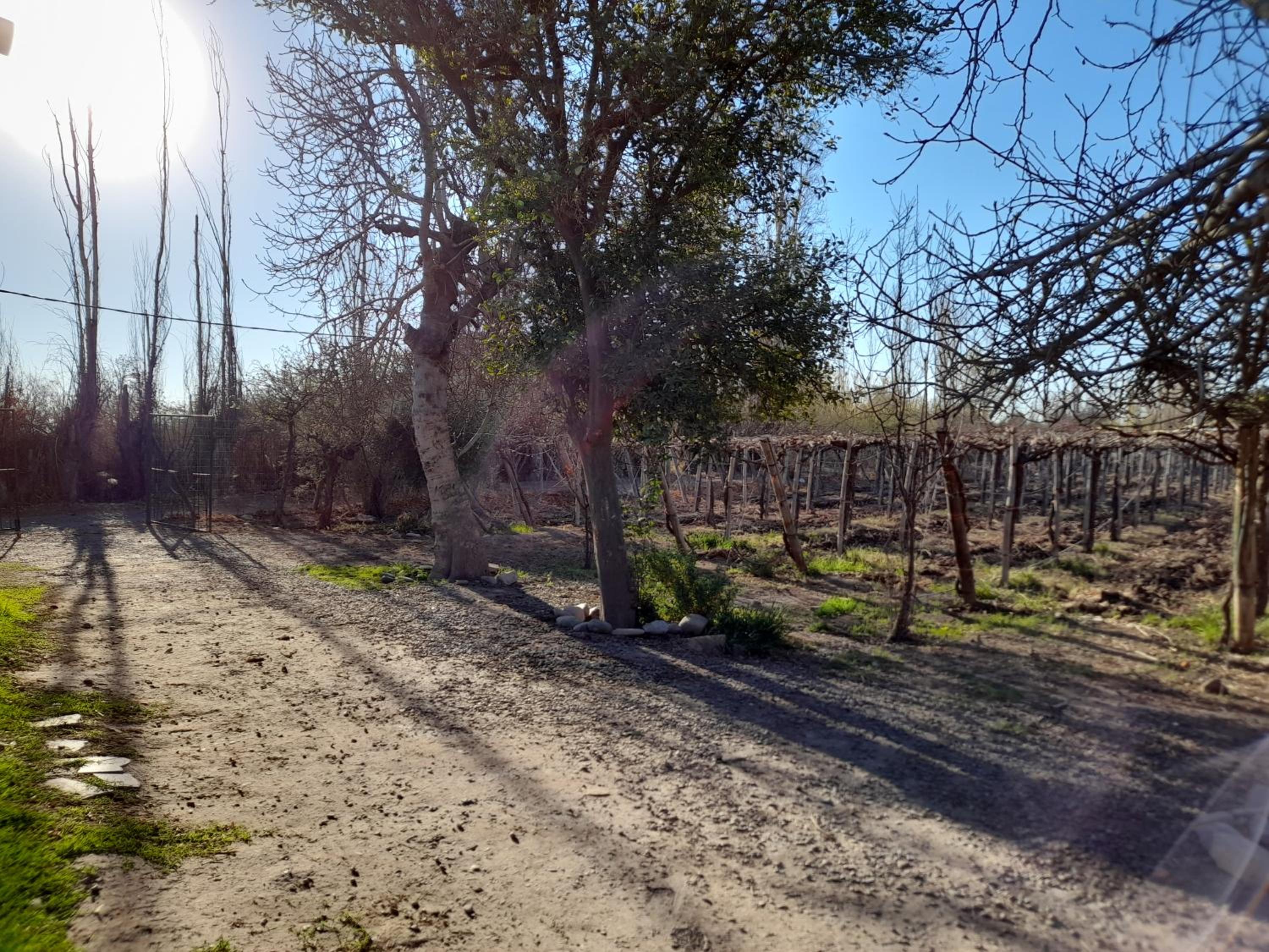 Sol del Este