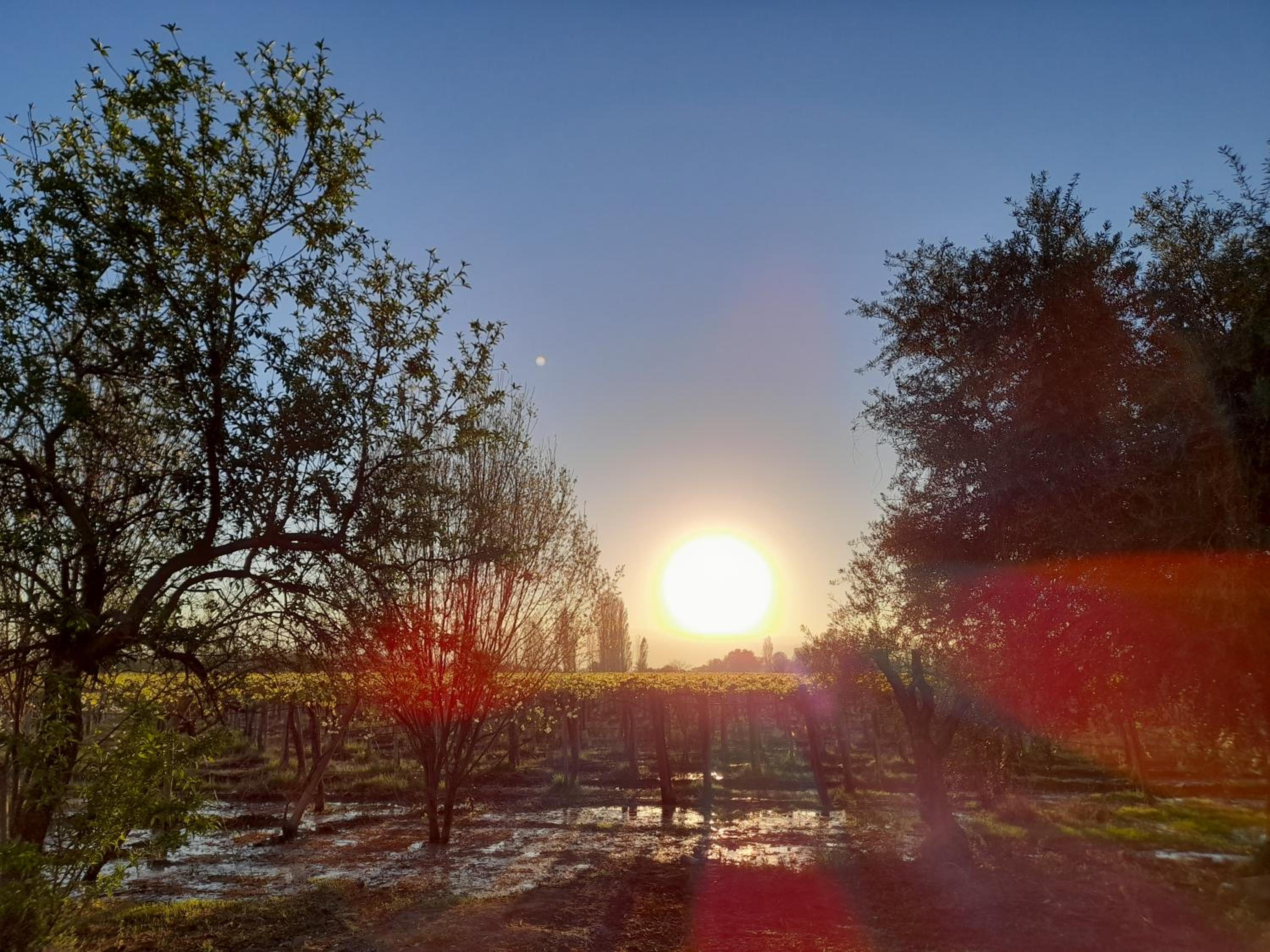 Sol del Este