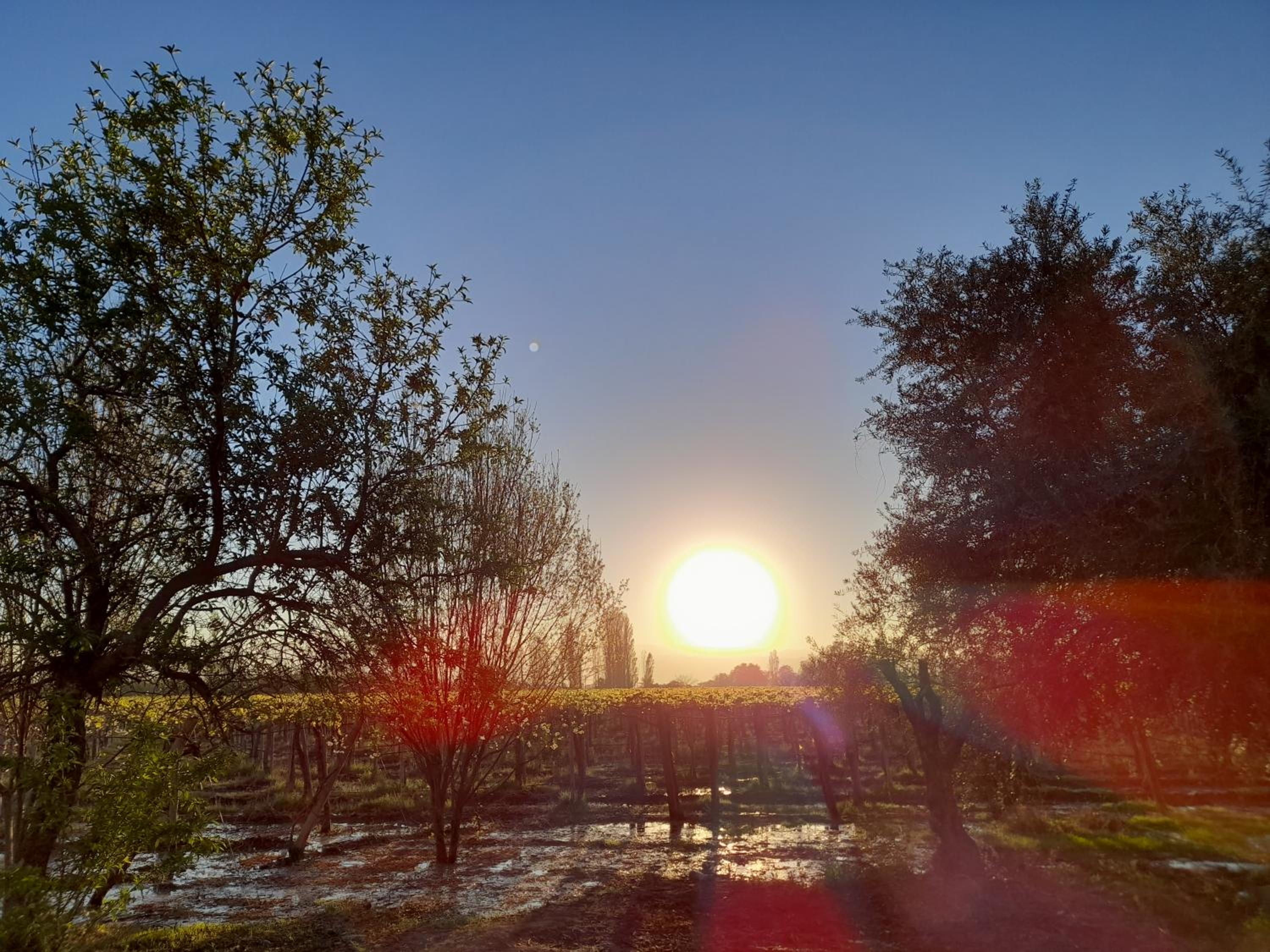 Sol del Este