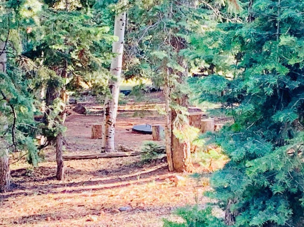 Adventure Awaits 3King Bed,2Bath Log Cabin in heart of Duck Creek Village! view 5
