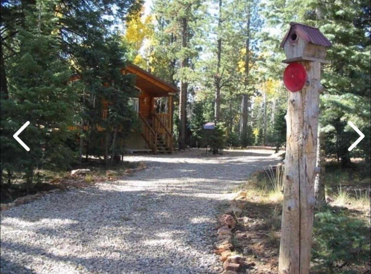 Adventure Awaits 3King Bed,2Bath Log Cabin in heart of Duck Creek Village! view 4