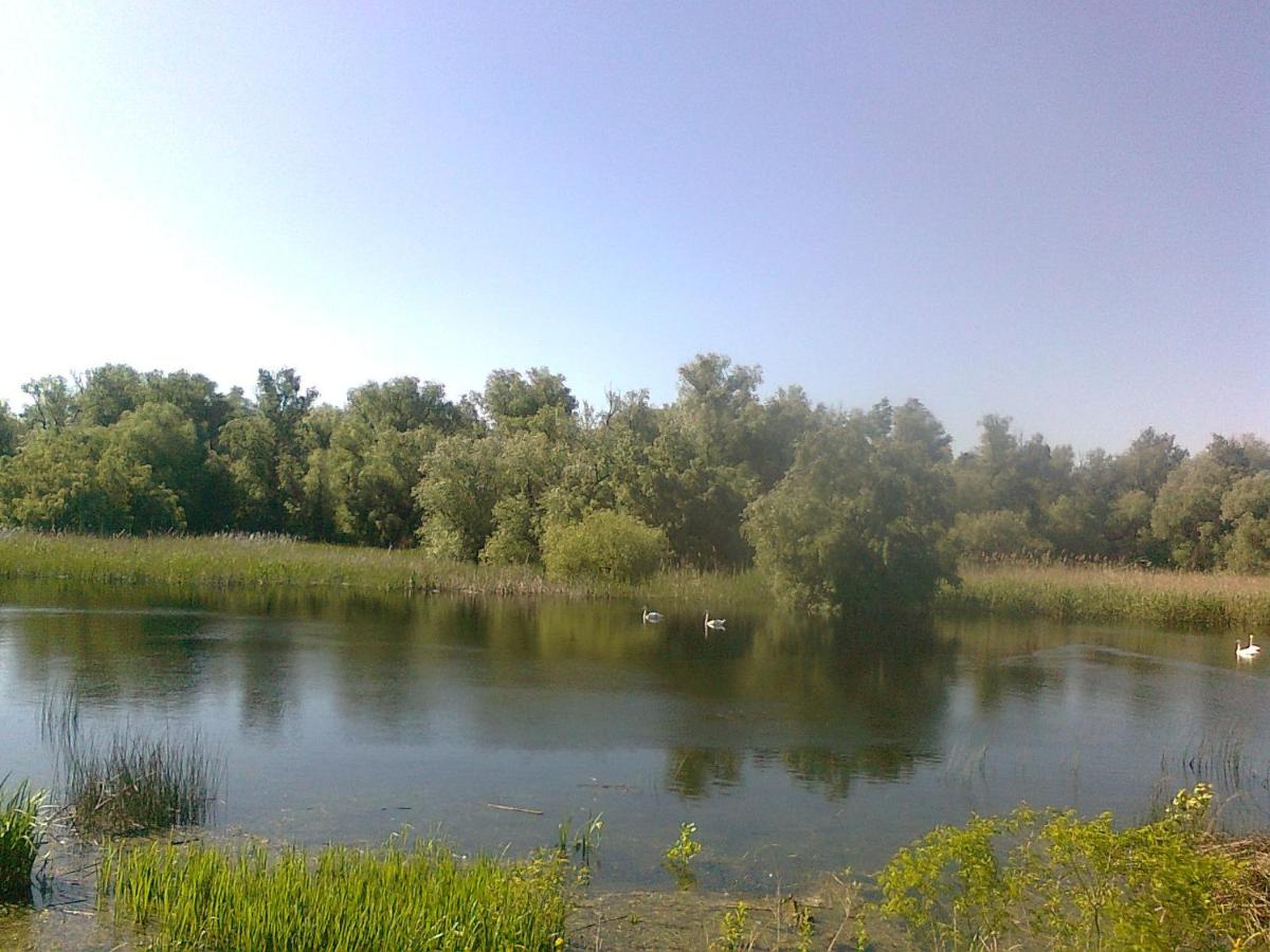 Photo 31