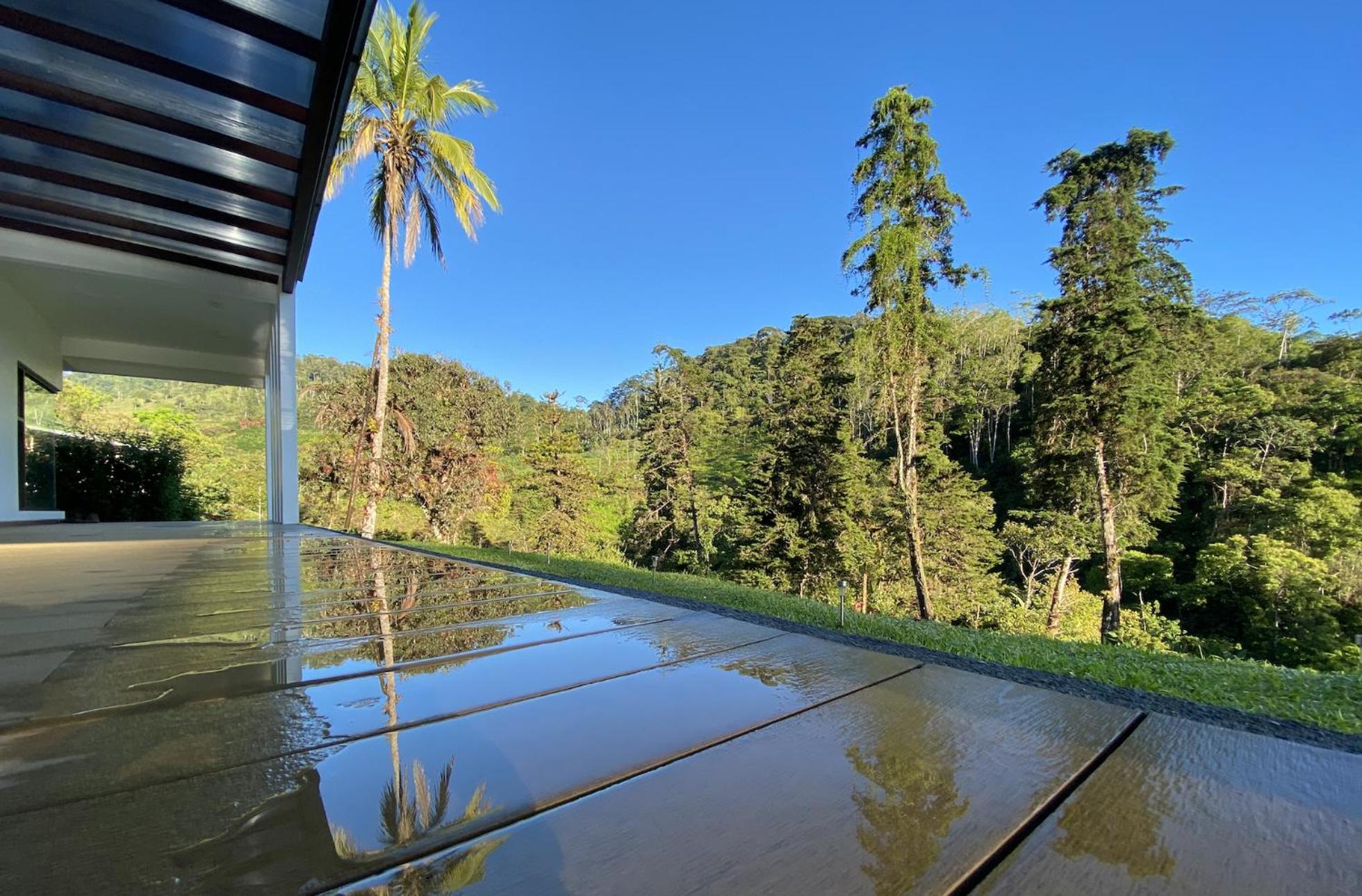 Arte de Plumas birding lodge