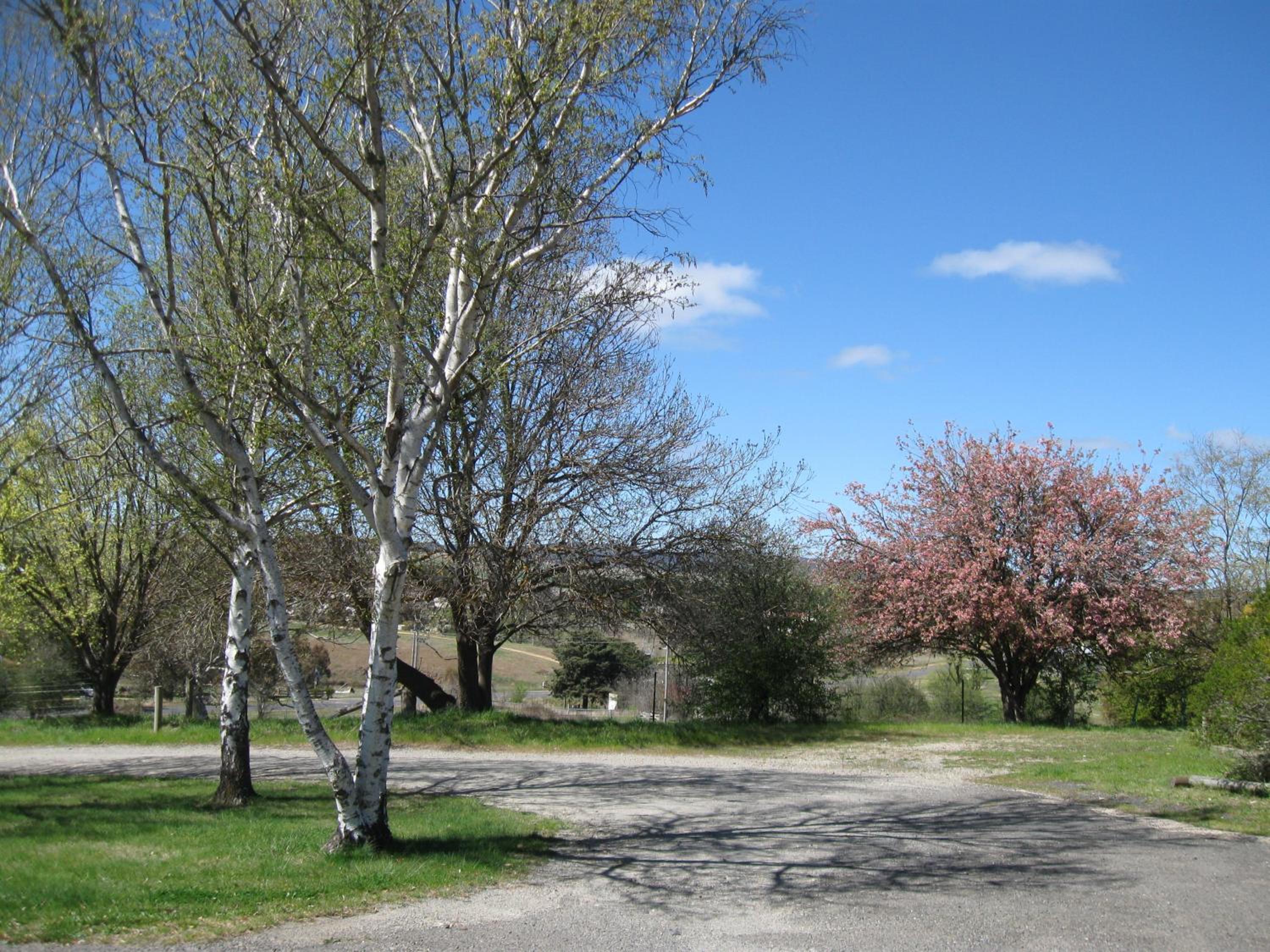 Delegate Nurses Cottage