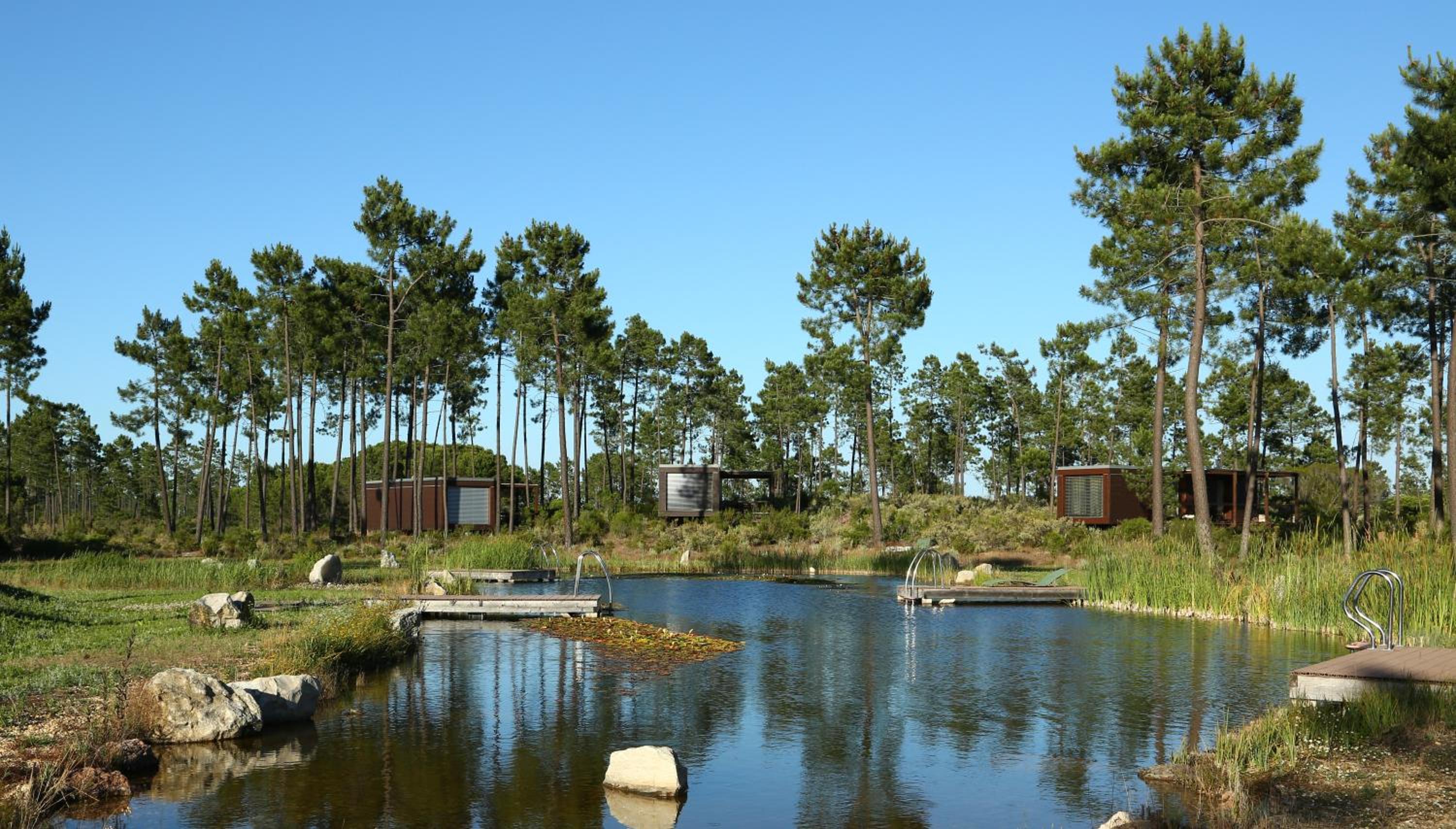 Cocoon Eco Design Lodges view 3