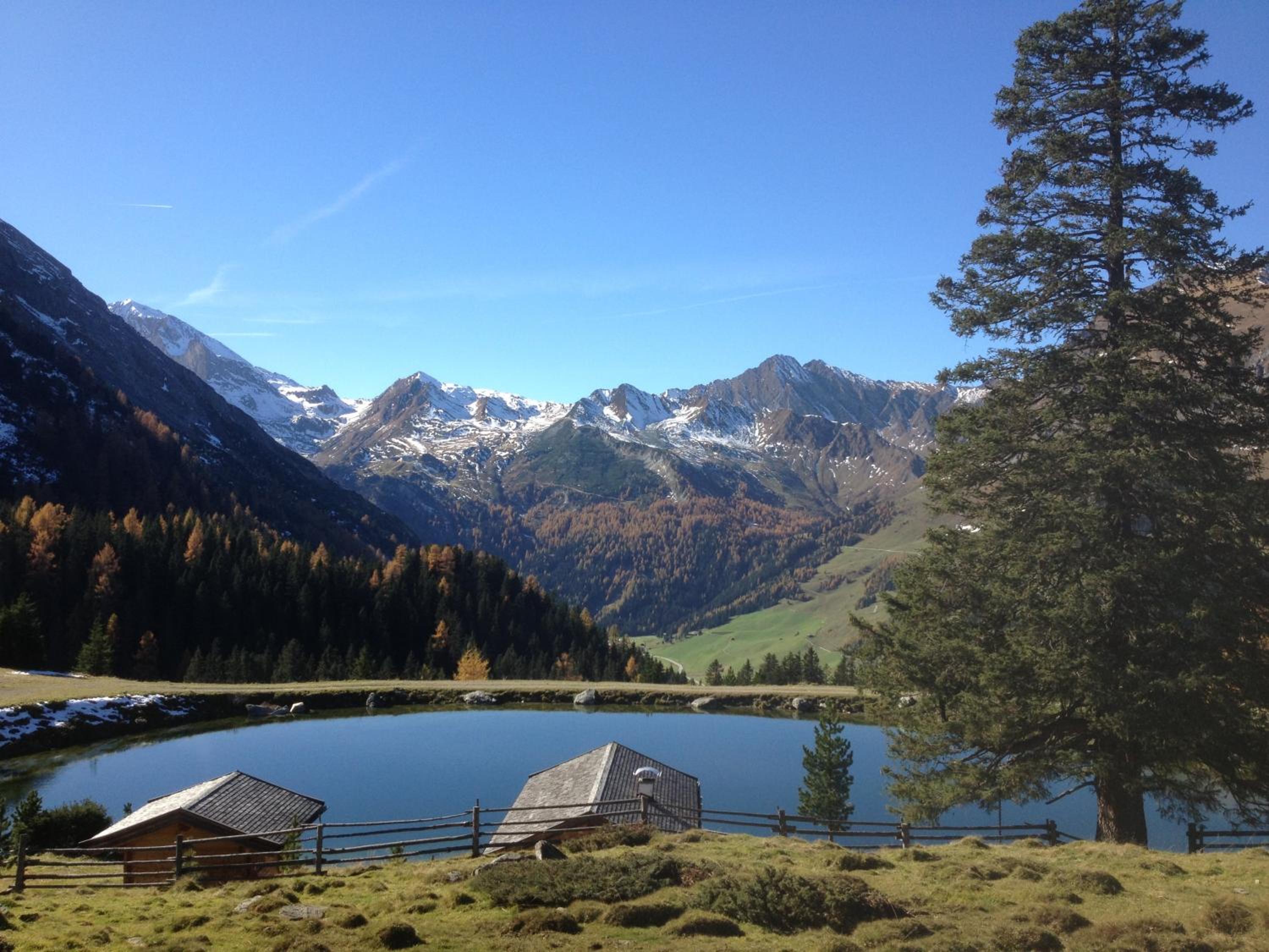 Appartement Ahornblick