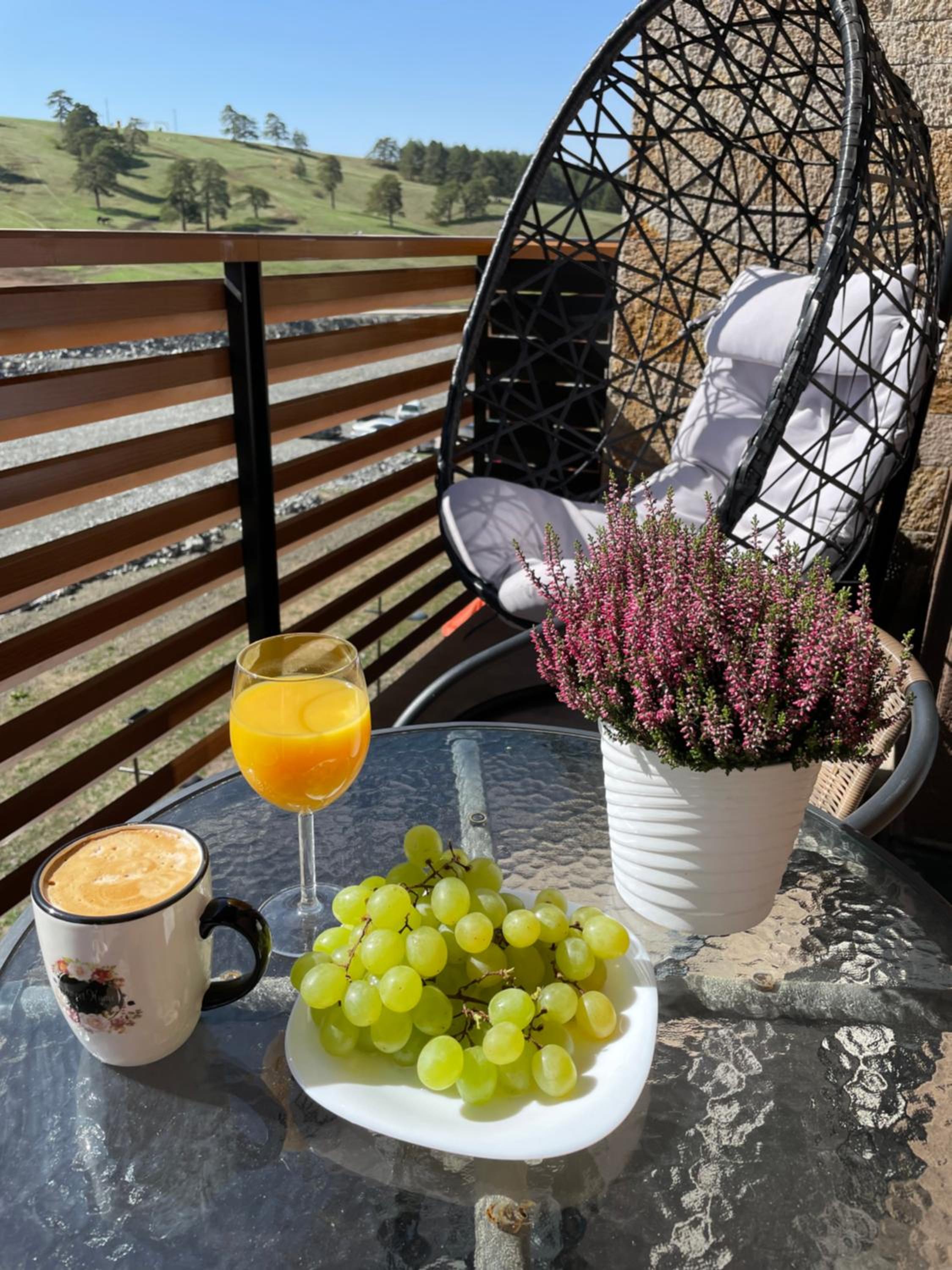 balance & terrace
