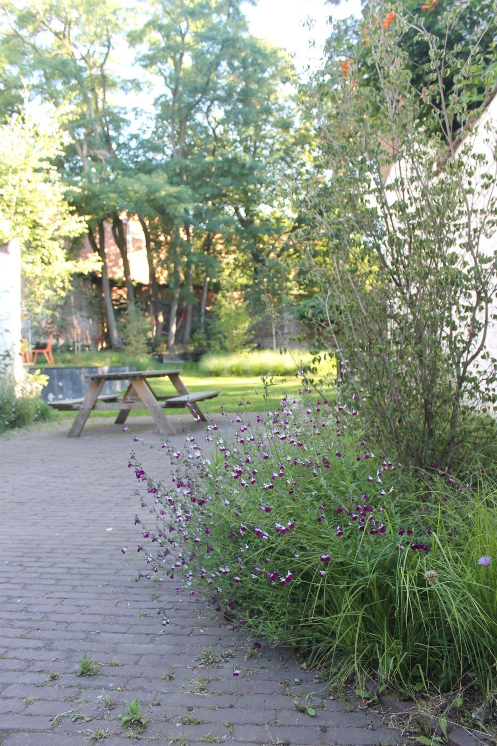 Canopée guesthouse