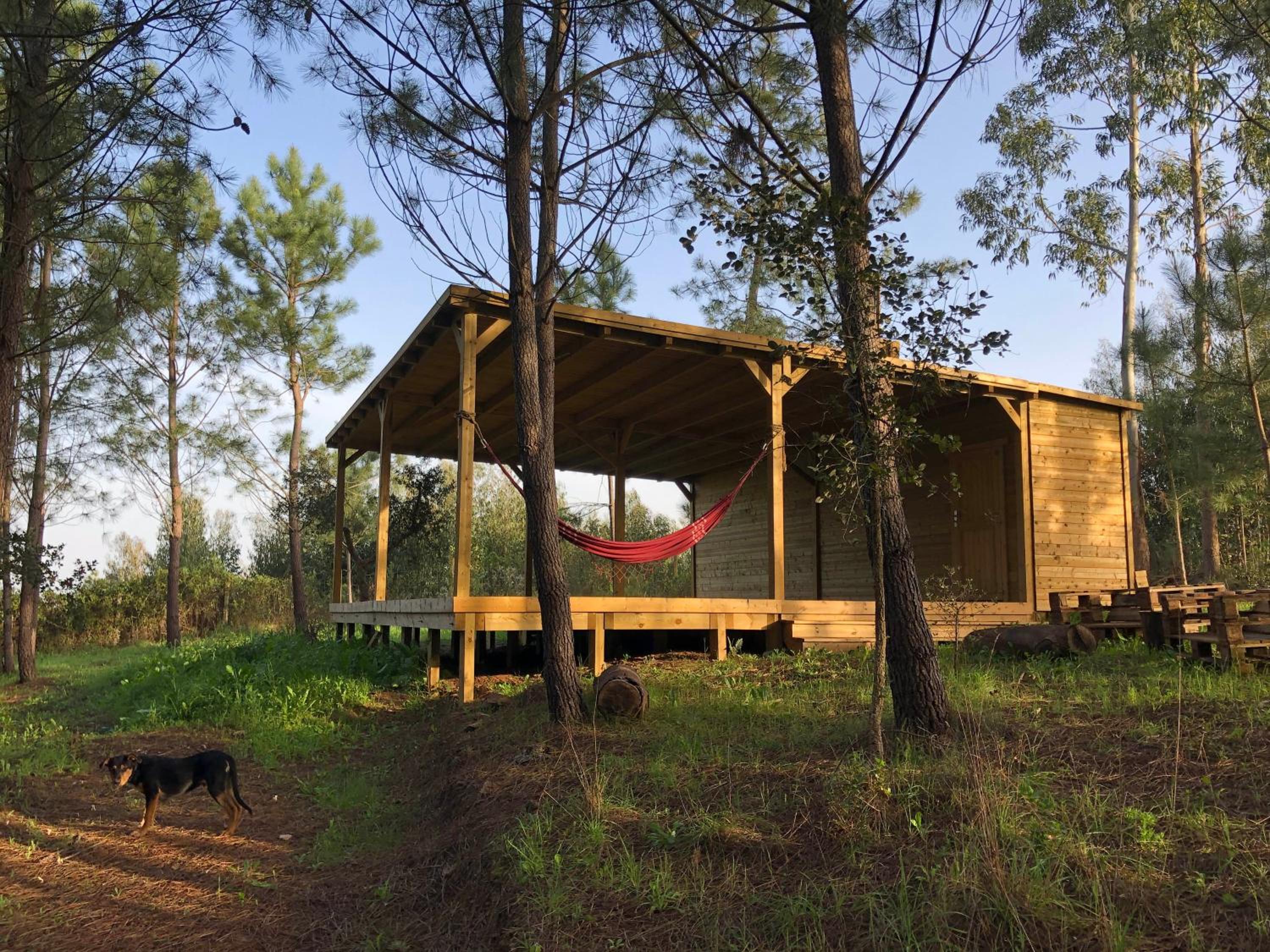 Quinta Camarena