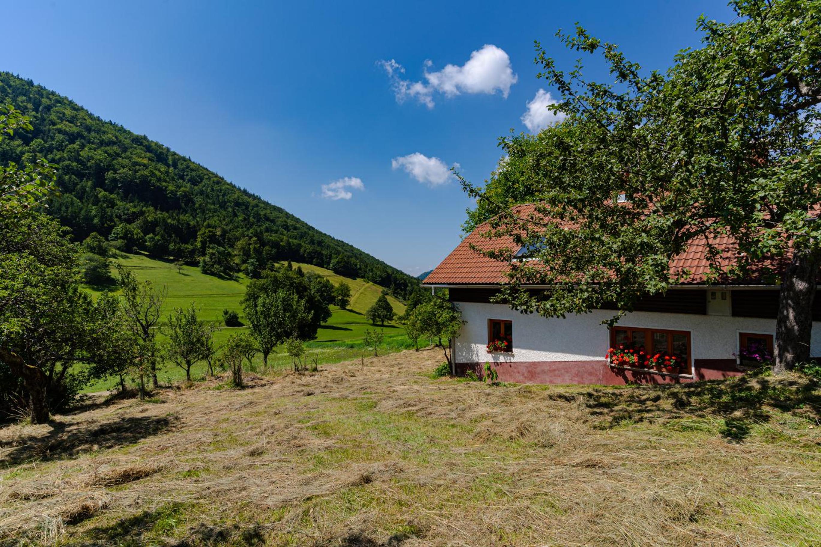 Apartment Vrhivšek, photo 11