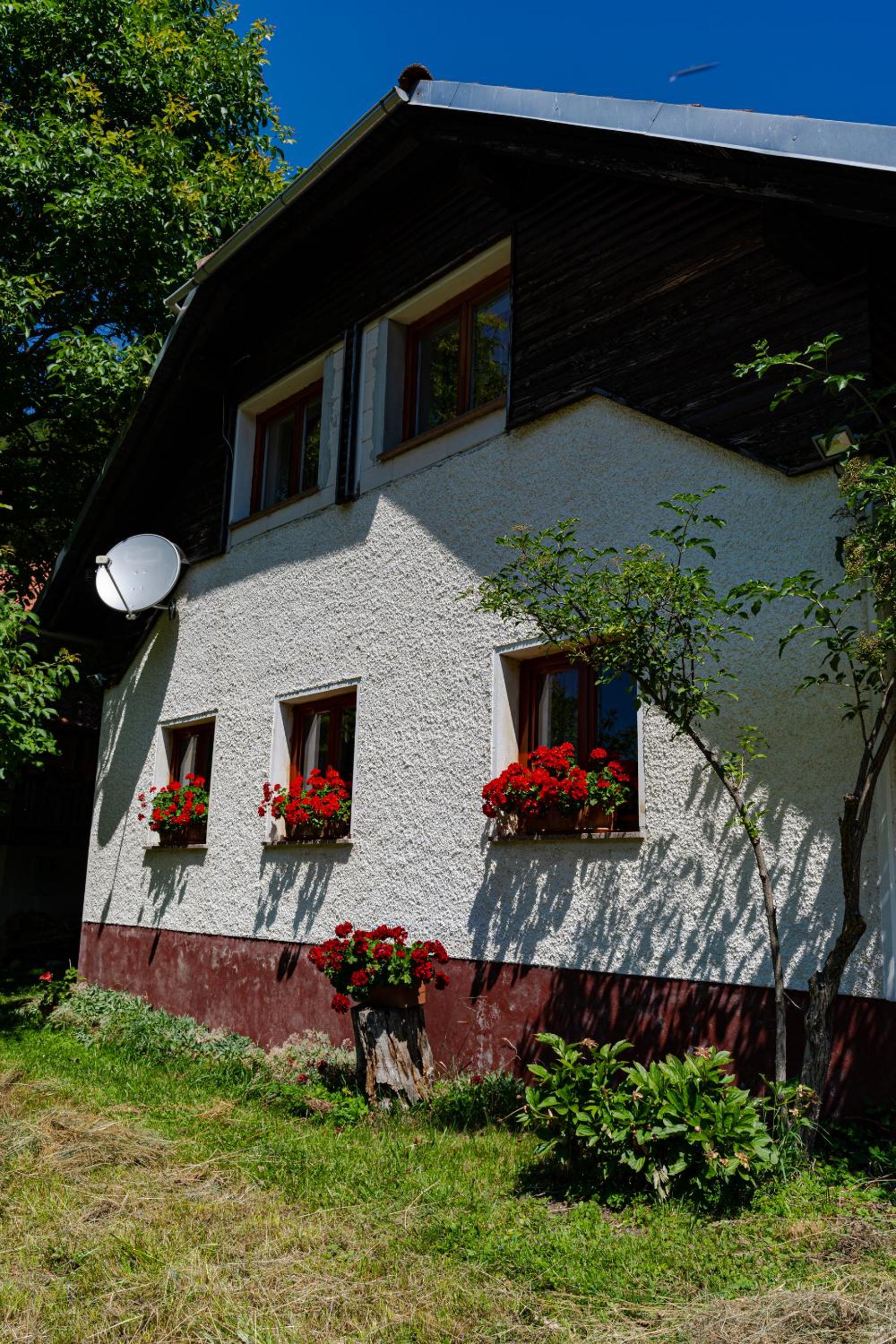 Apartment Vrhivšek