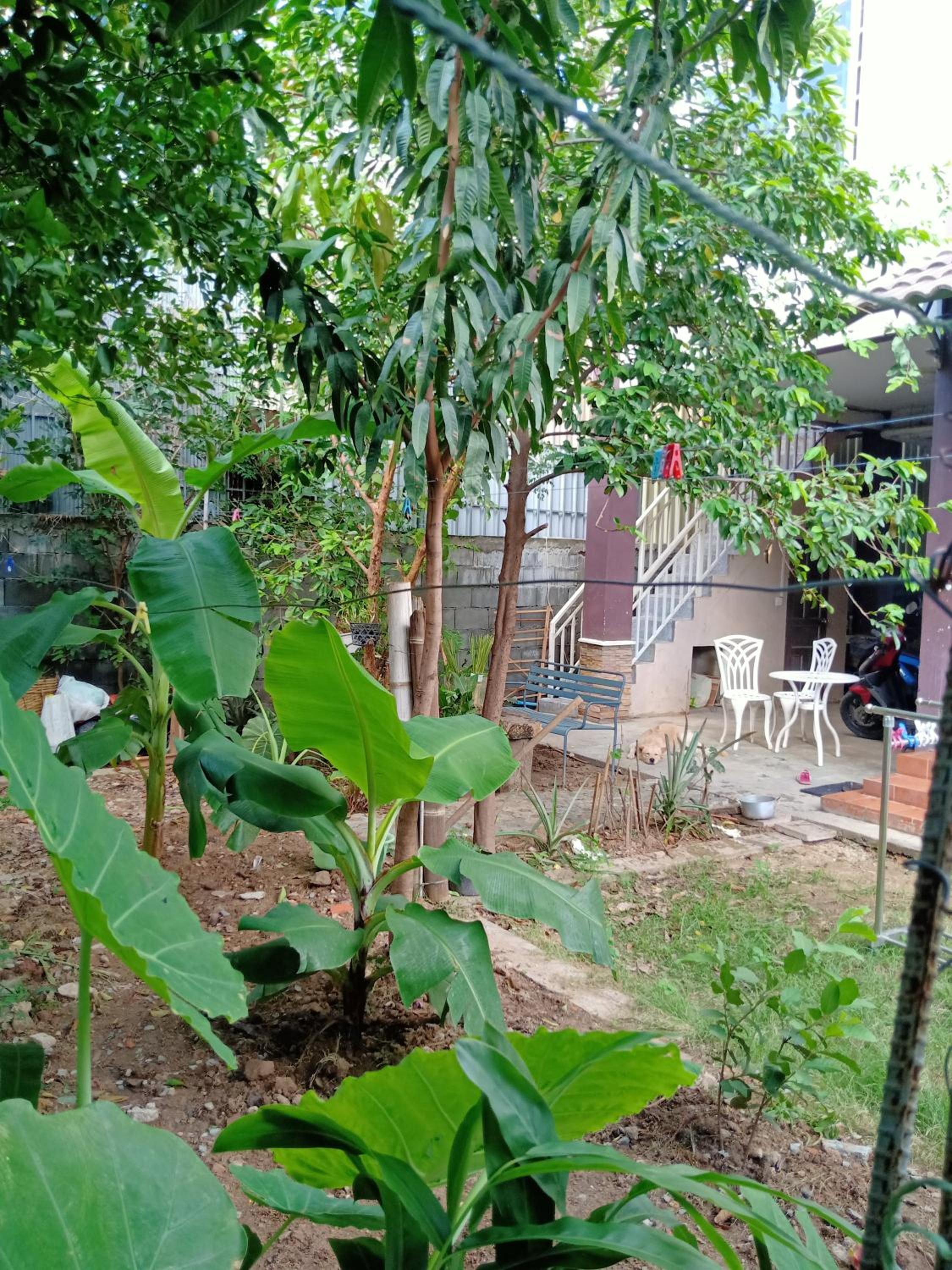 Photo 32