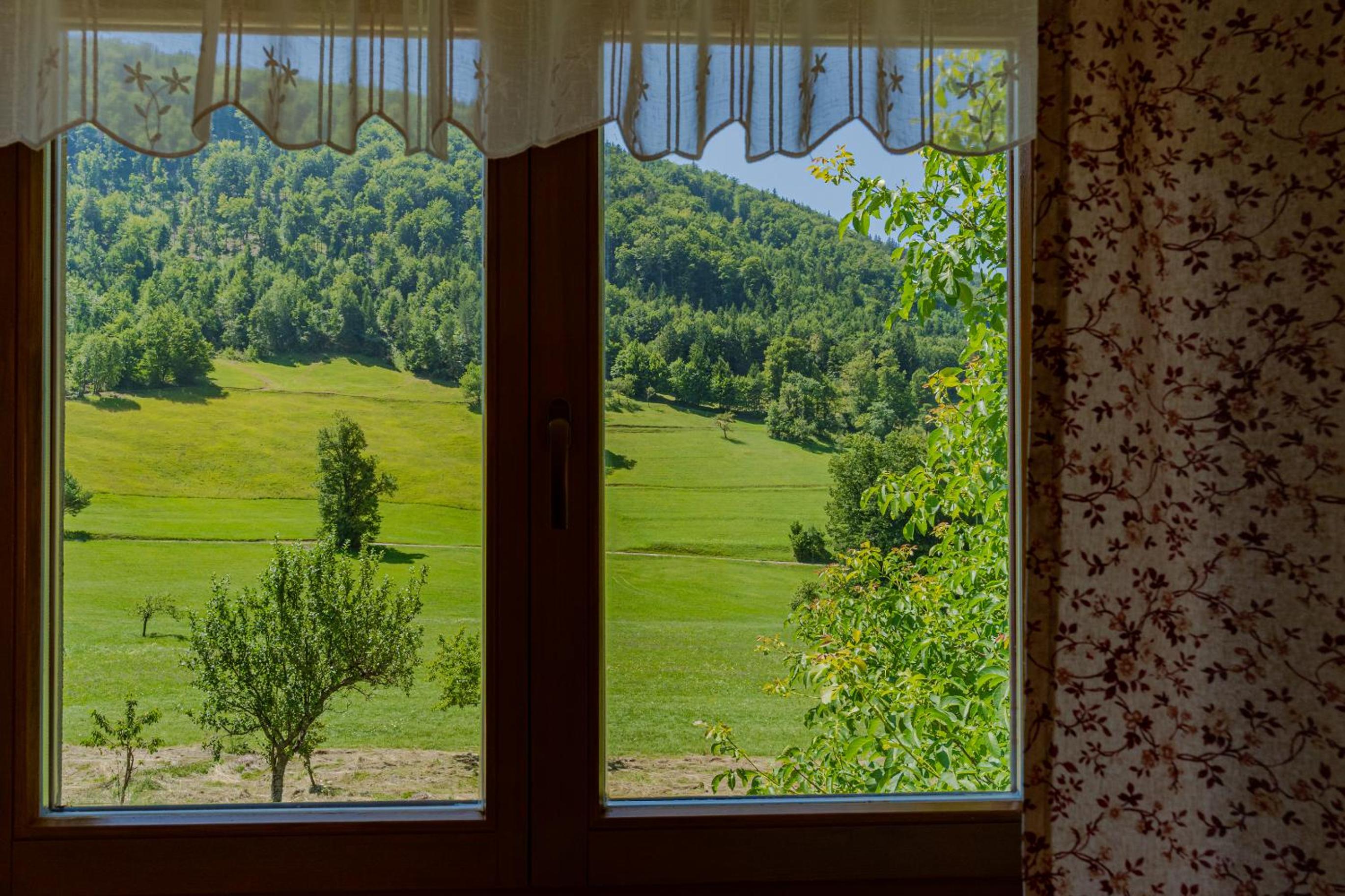 Apartment Vrhivšek, photo 12