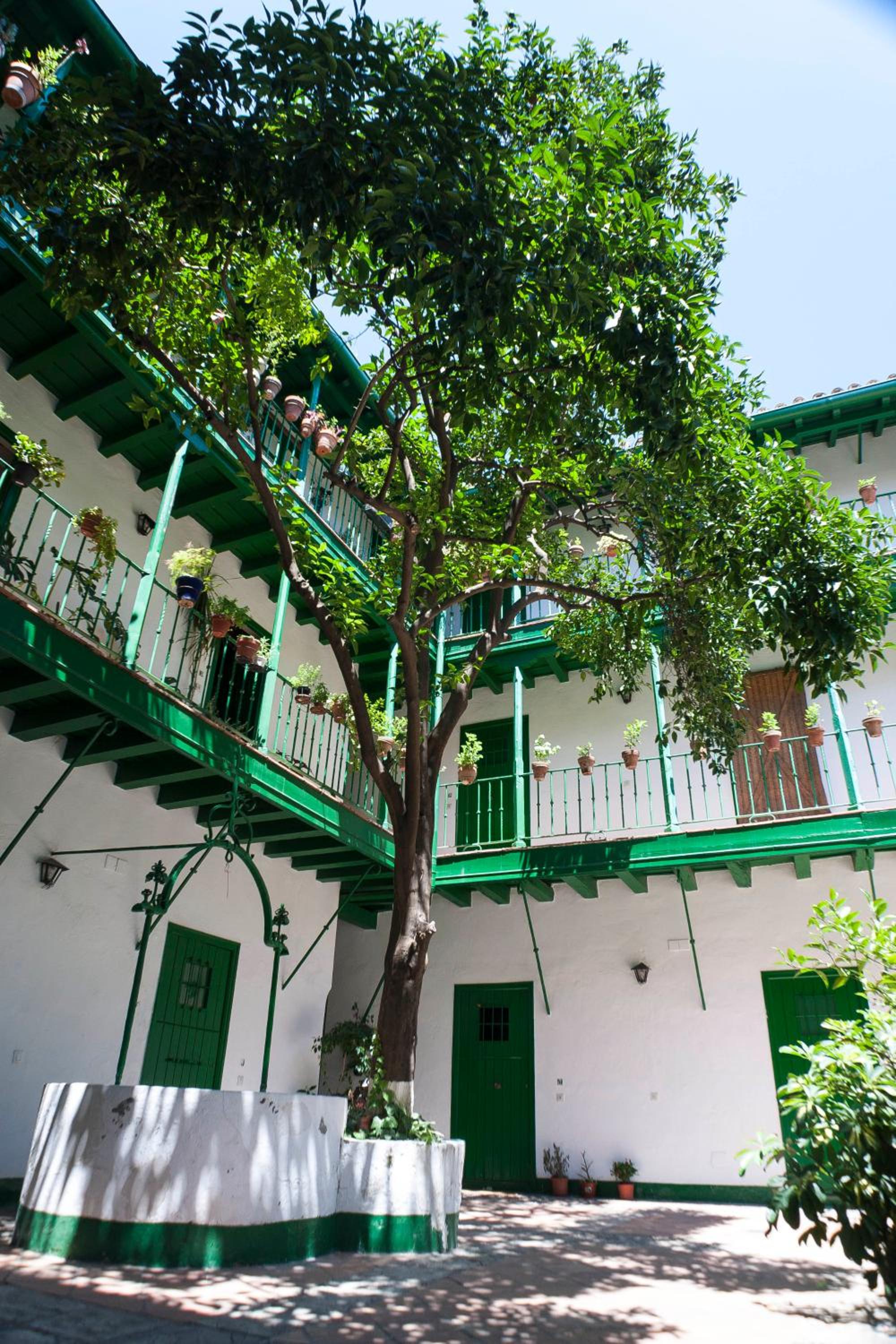 Alcázares Sevilla centro