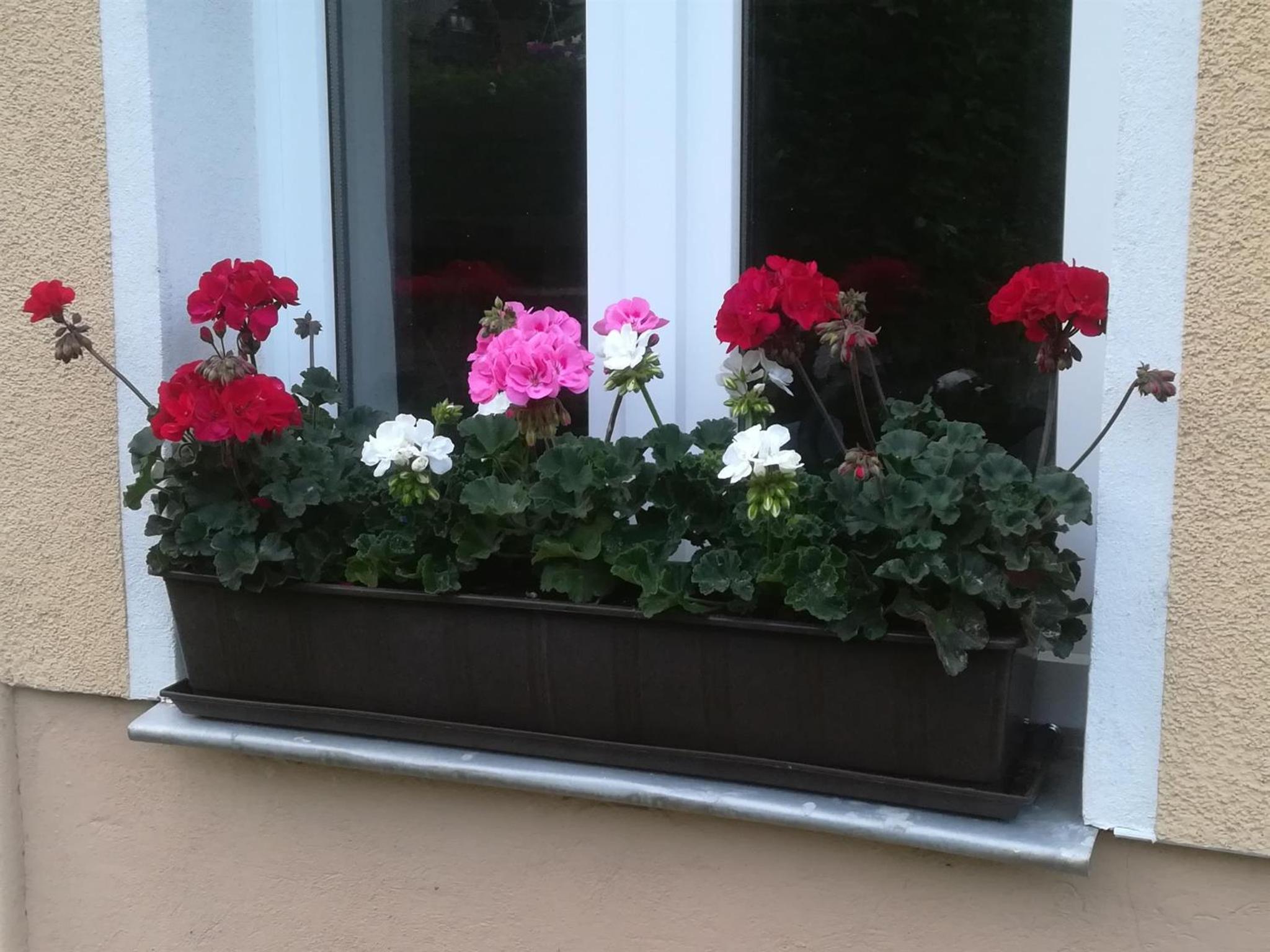 Ferienwohnung Rauscher view 5