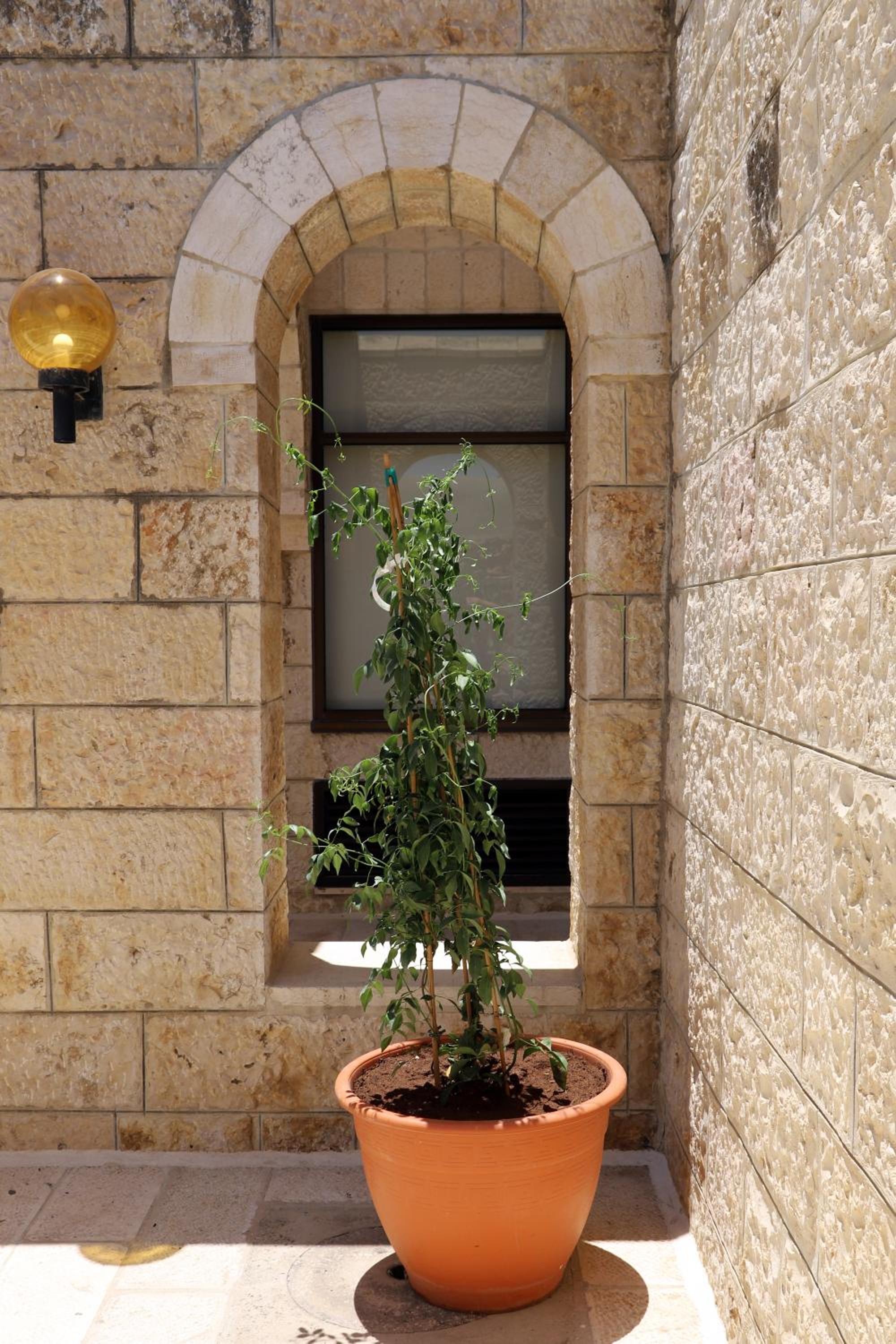 New Gate Hostel view 5