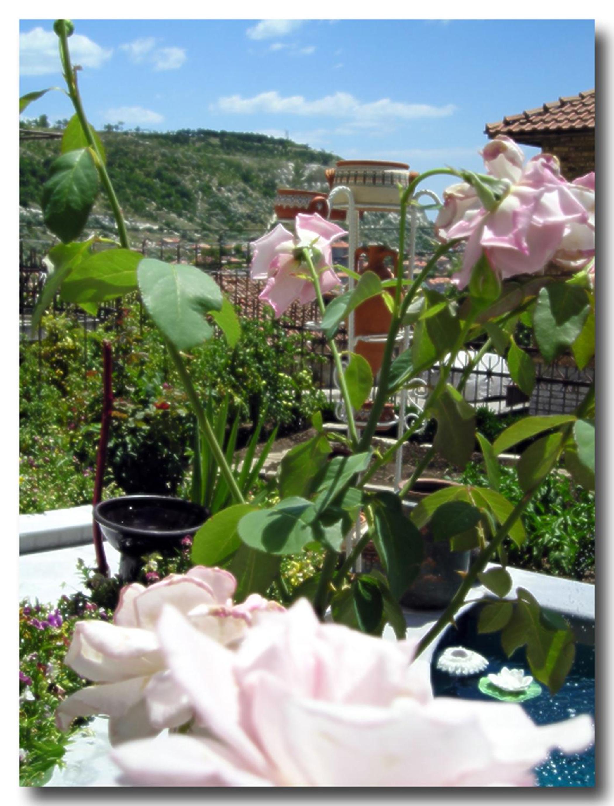 Guest House Maria