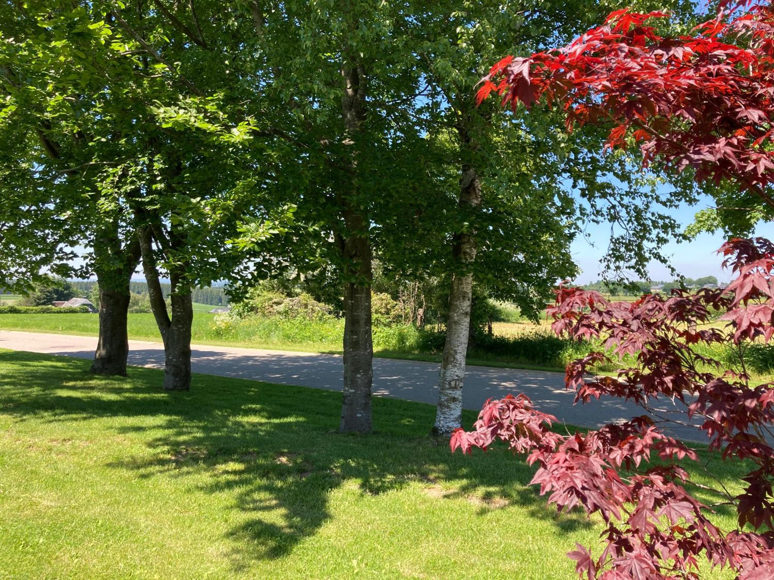 B&B Ferienhof AB Wellness Suite