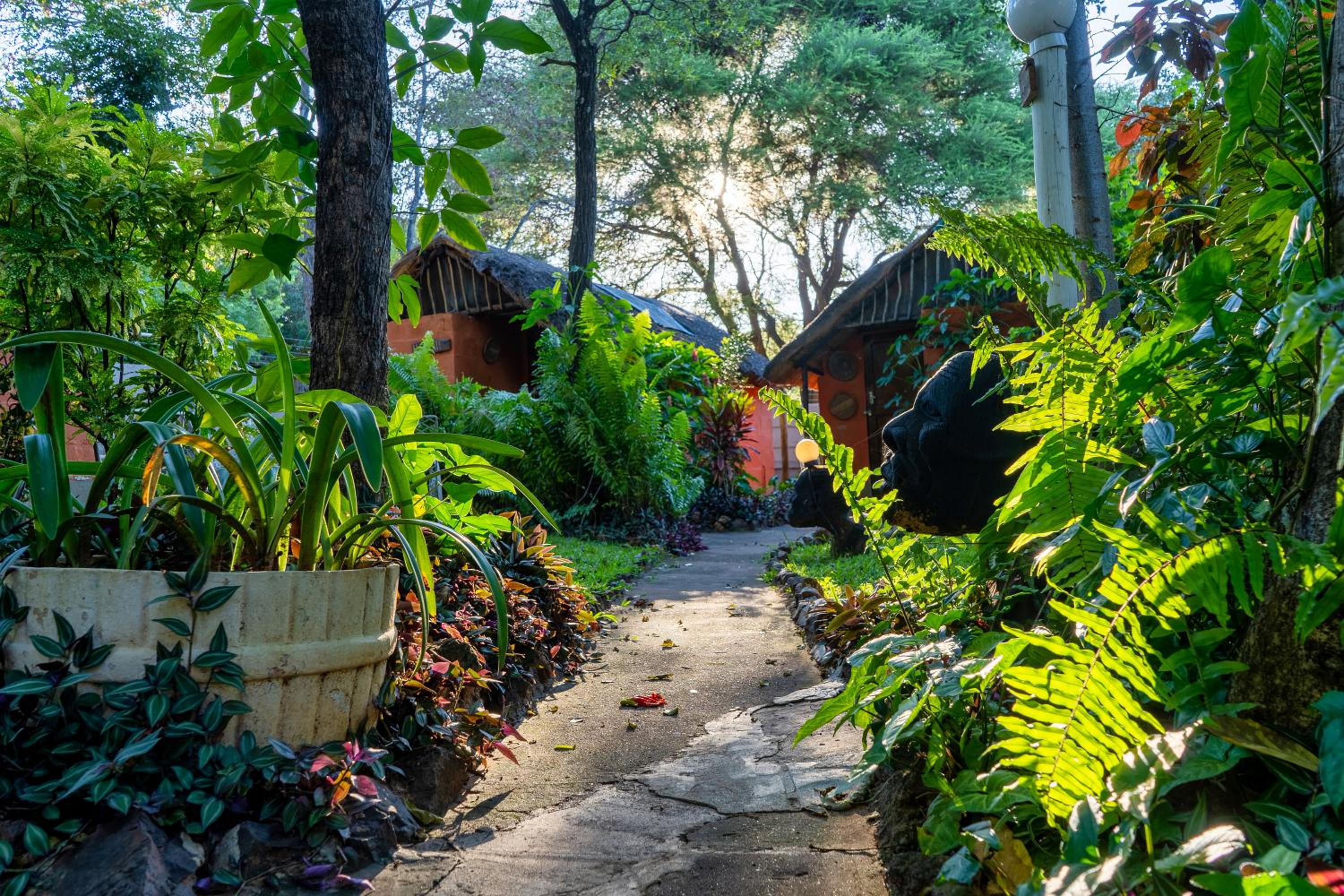 Victoria Falls Backpackers Lodge