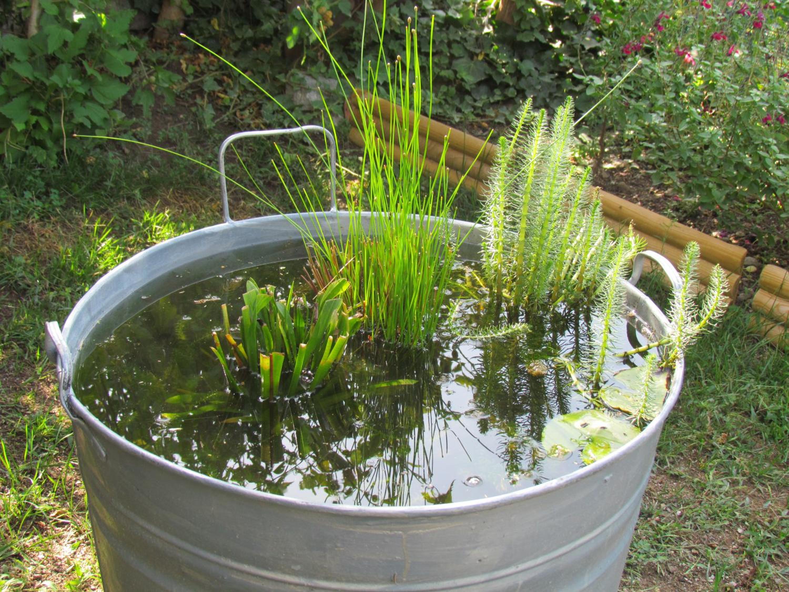 Photo 41