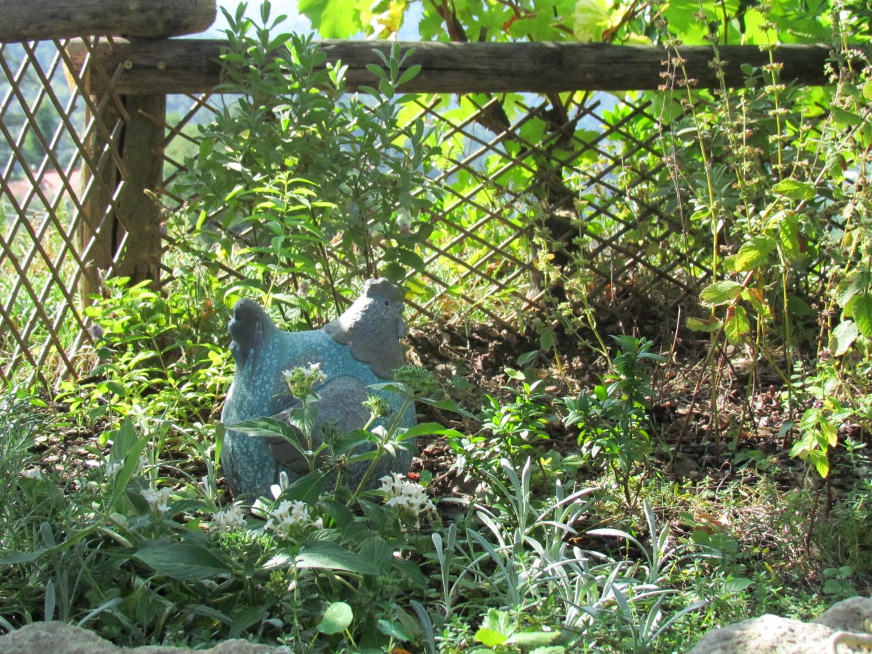 Photo 43