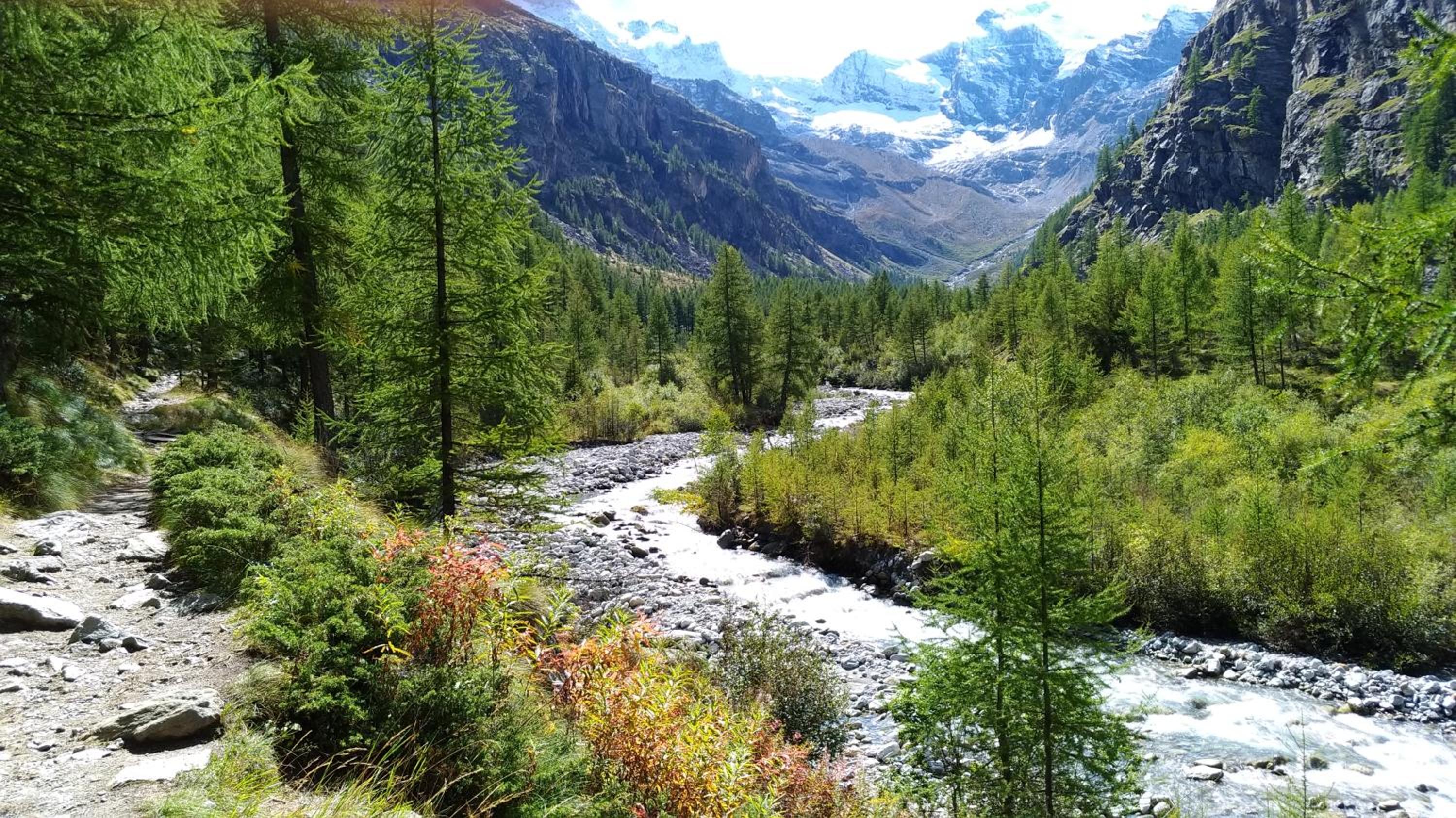 Photo 25